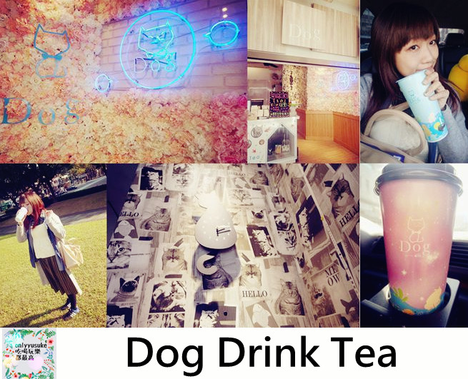 Dog Drink Tea