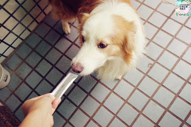 (寵物)【CheriWAN鮮愛汪】讓毛小孩吃了還想再吃的犬用整腸乳酸菌果凍條