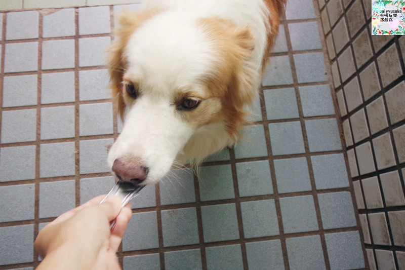 (寵物)【CheriWAN鮮愛汪】讓毛小孩吃了還想再吃的犬用整腸乳酸菌果凍條