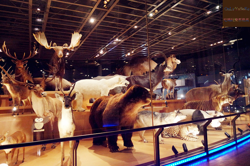 國外旅遊【上野國立科學博物館】來上野到這玩準沒錯,一個學習新知很好放電的地方