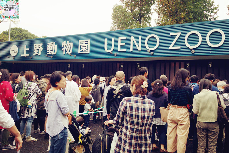 【上野一日遊】日本之旅DAY4上野動物園,東照宮,牡丹苑,科學博物館,一蘭拉麵