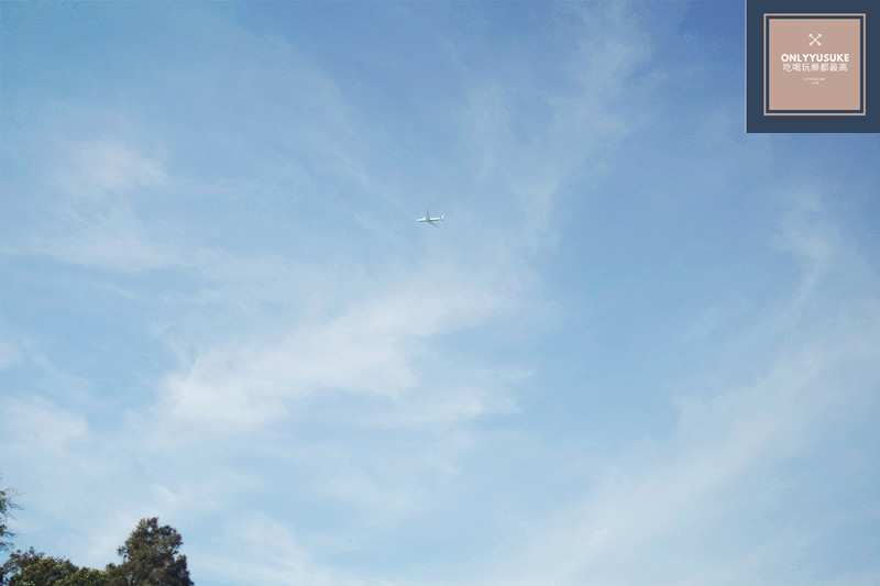 蓮荷園看到飛機