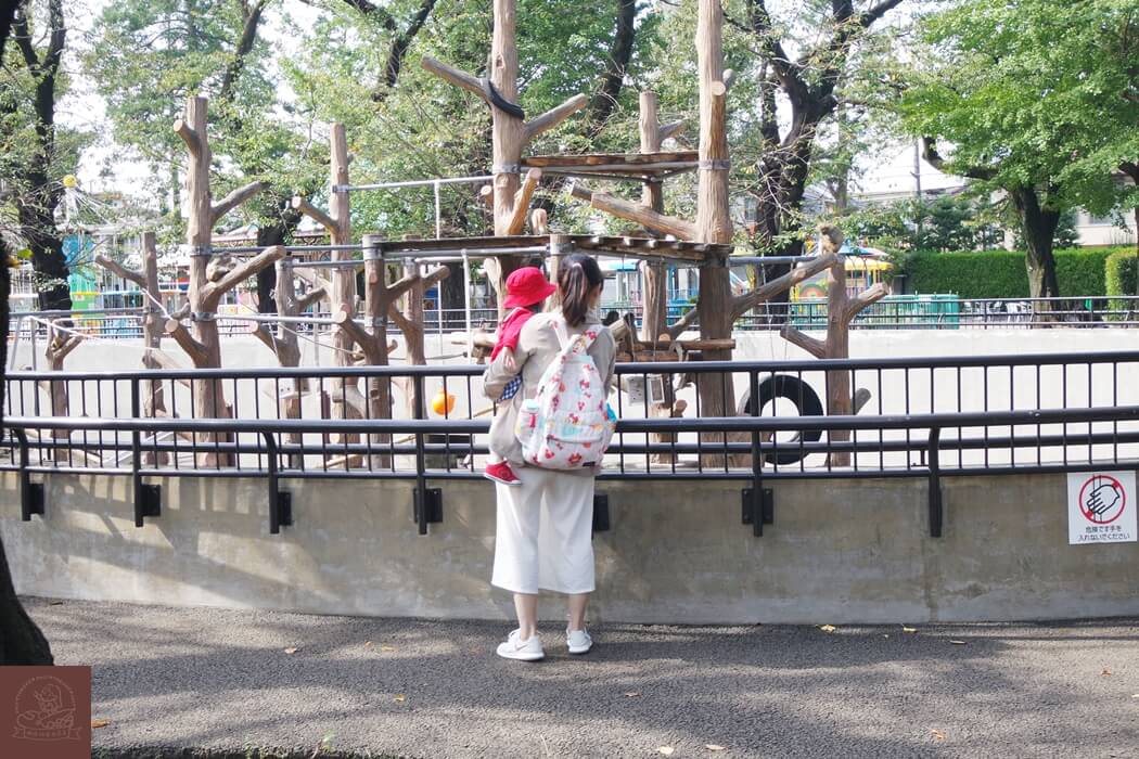 井之頭公園動物園獼猴