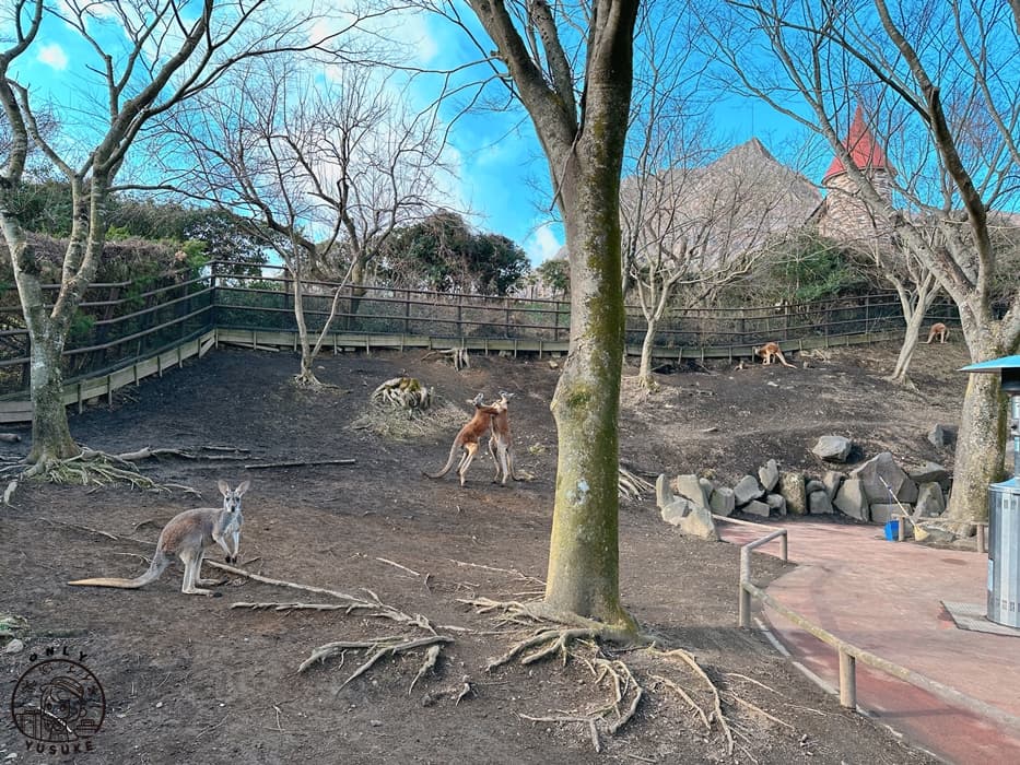 九州自然動物園
