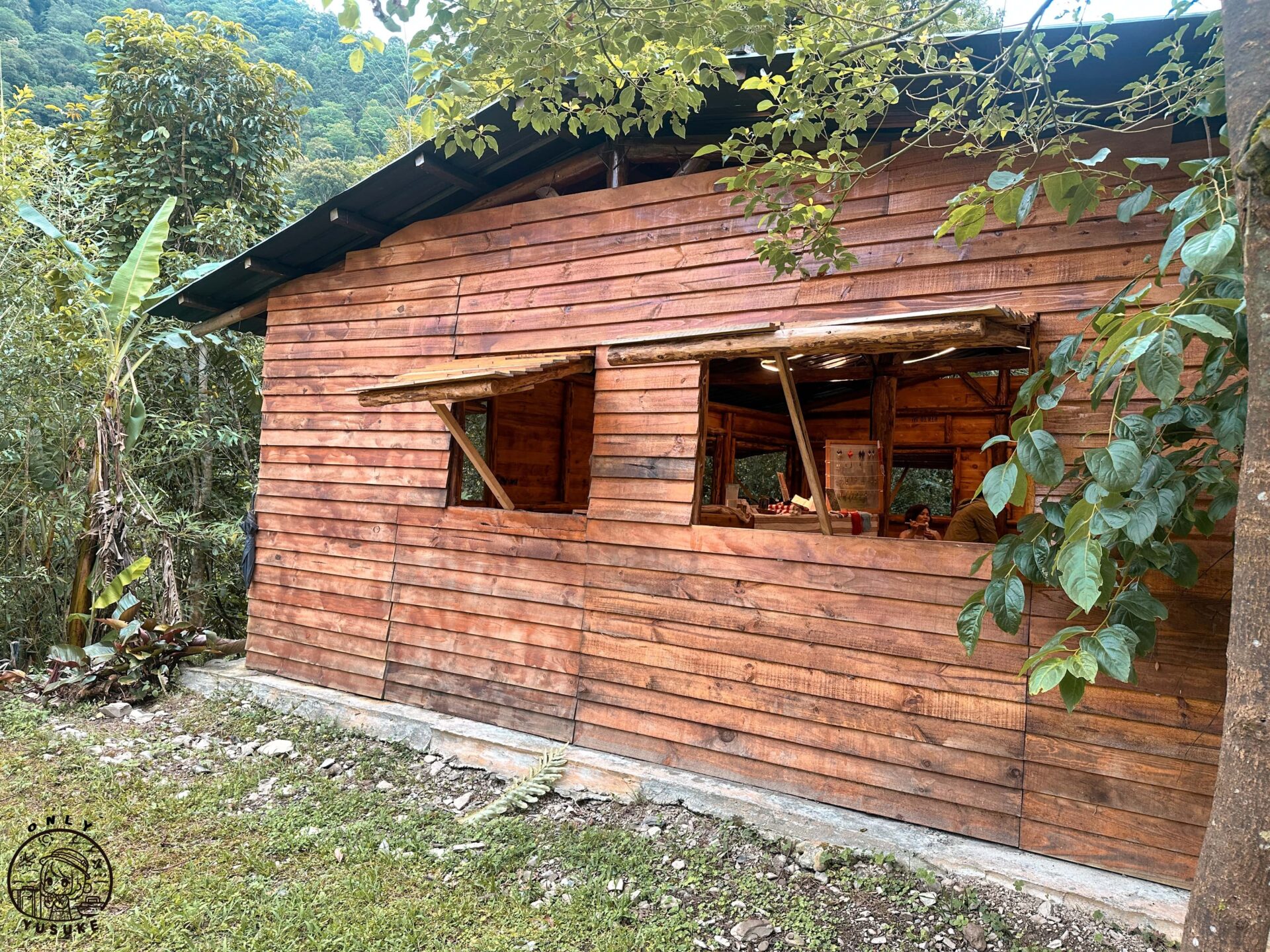 德拉楠文化營食在森林