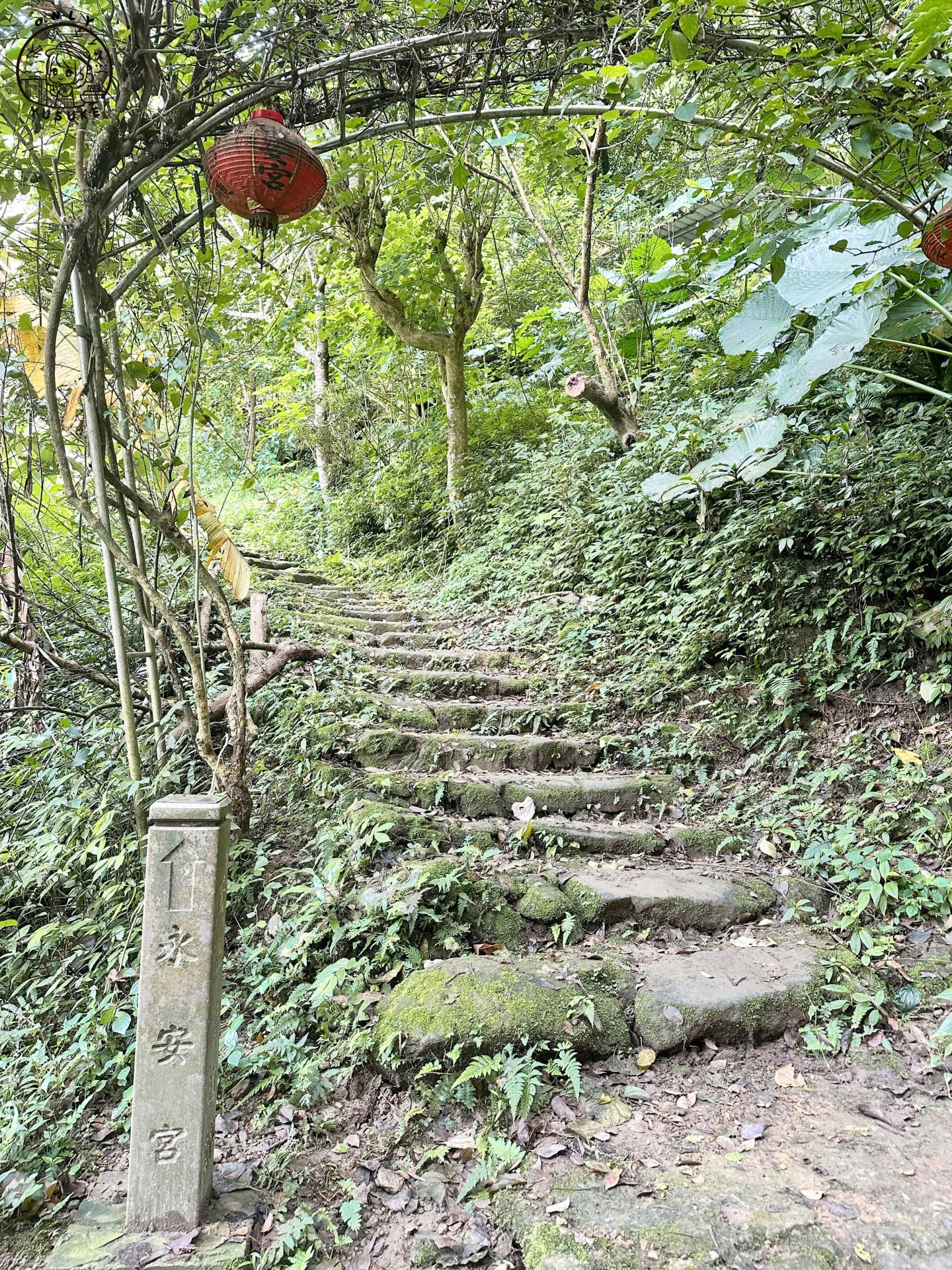 三峽一日遊