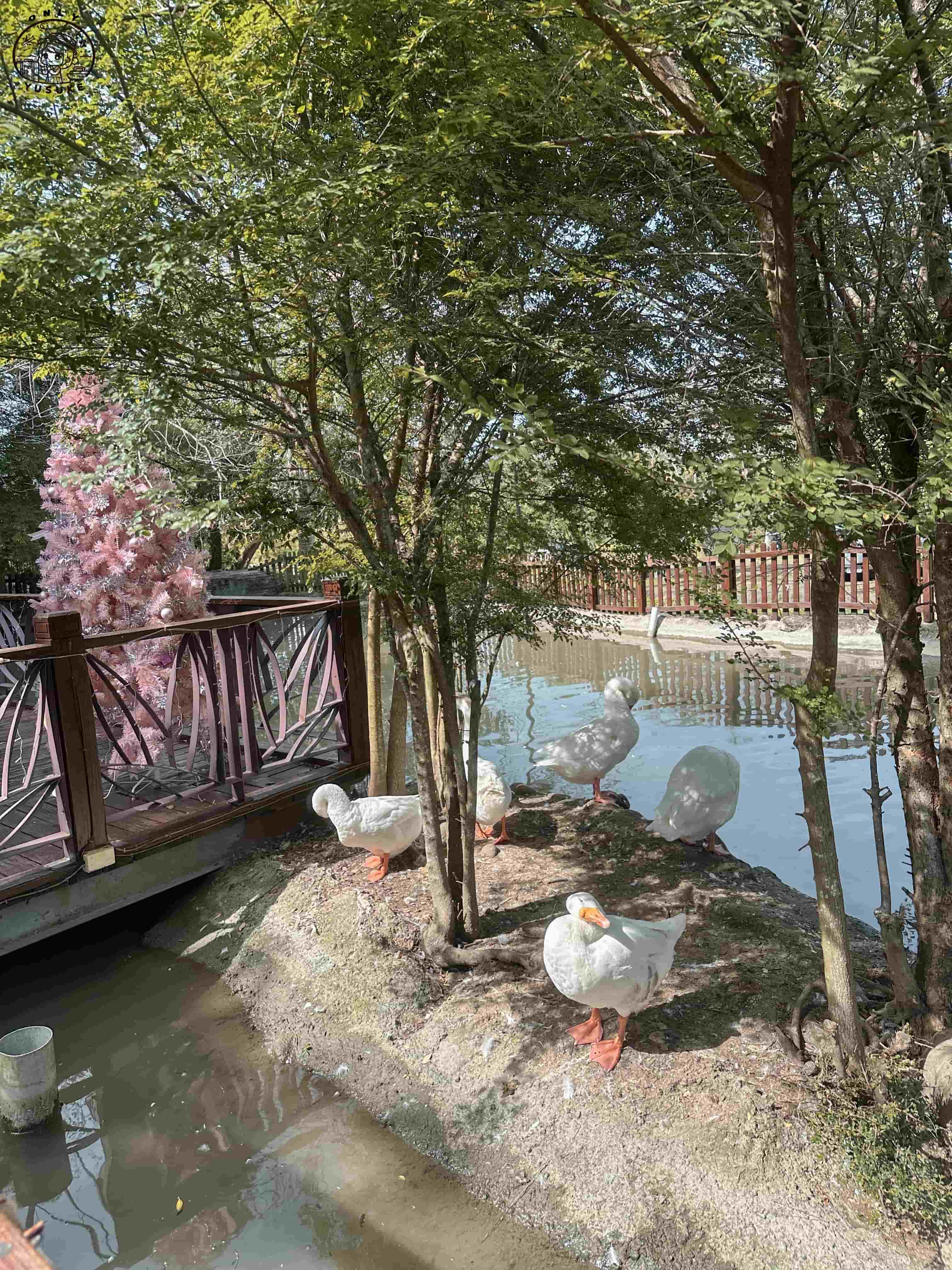 巧克力雲莊介紹