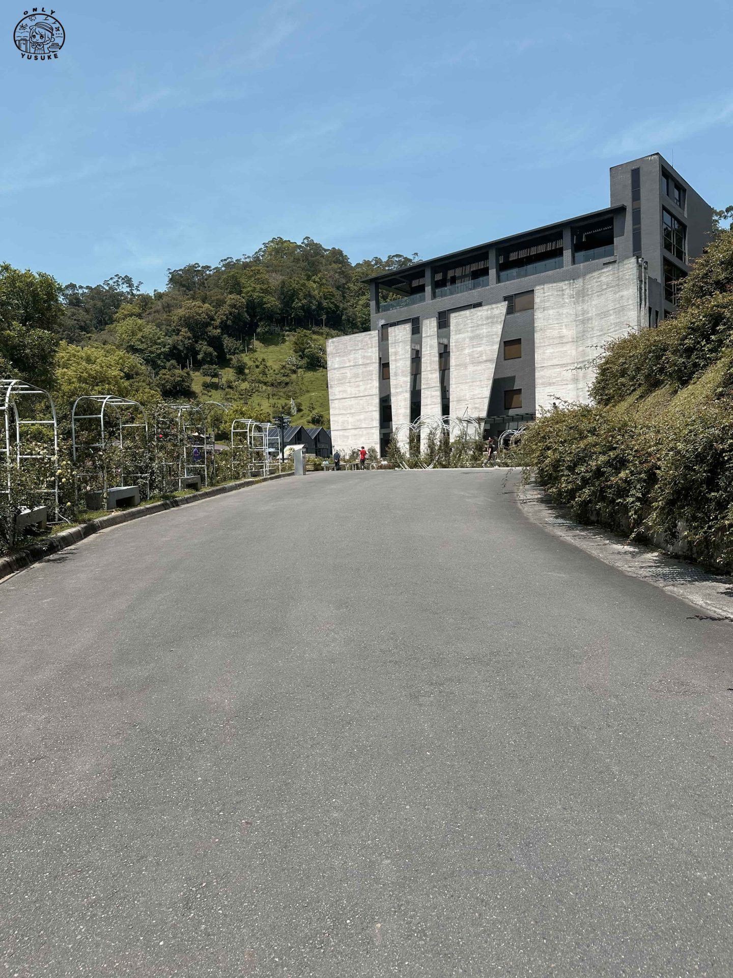 雅聞七里香玫瑰森林介紹