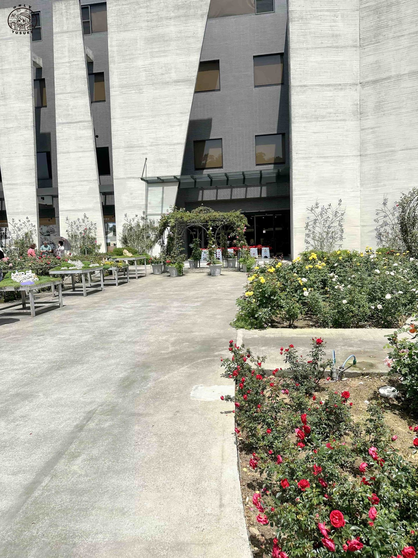 雅聞七里香玫瑰森林介紹