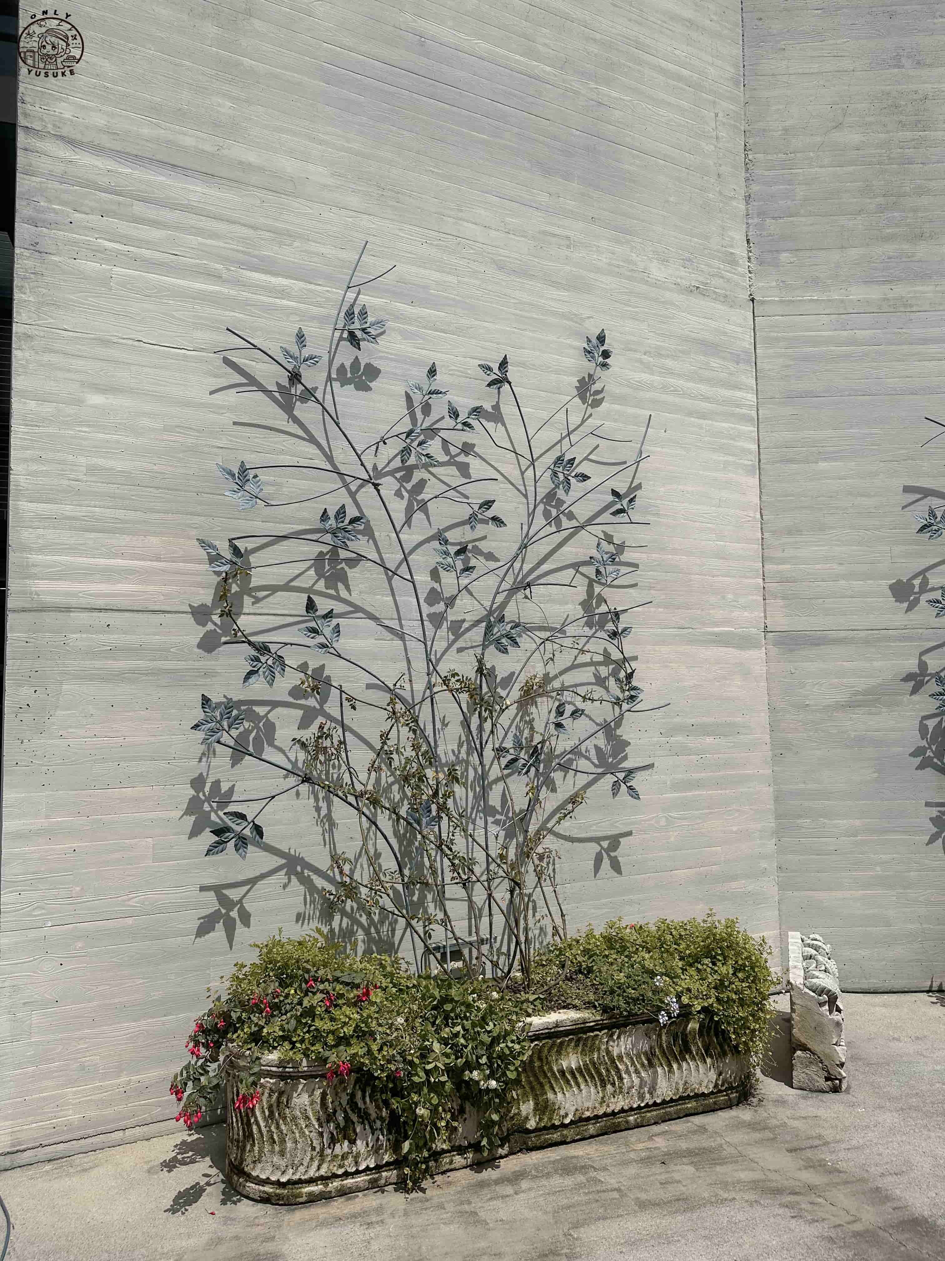 雅聞七里香玫瑰森林介紹