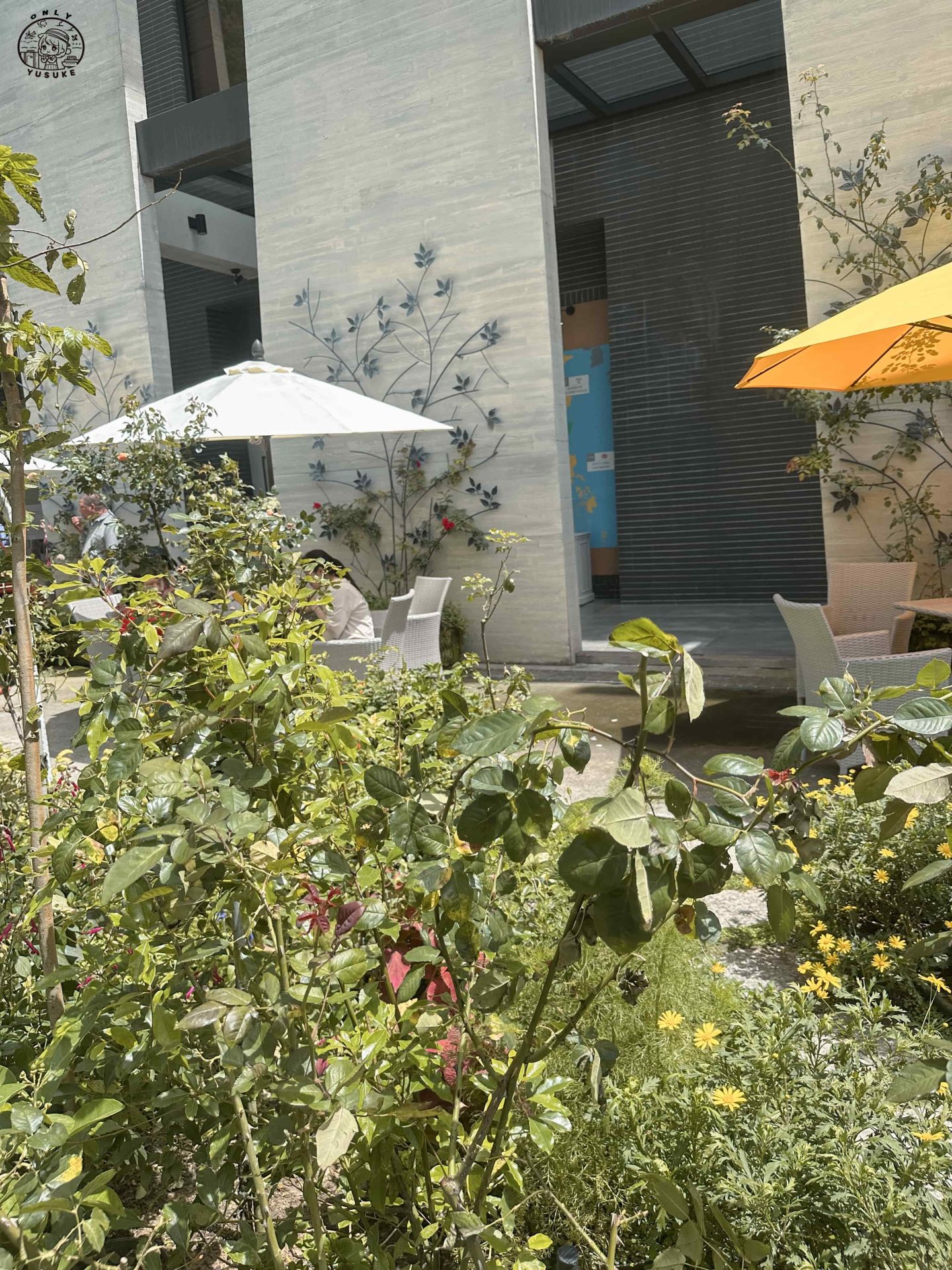 雅聞七里香玫瑰森林介紹