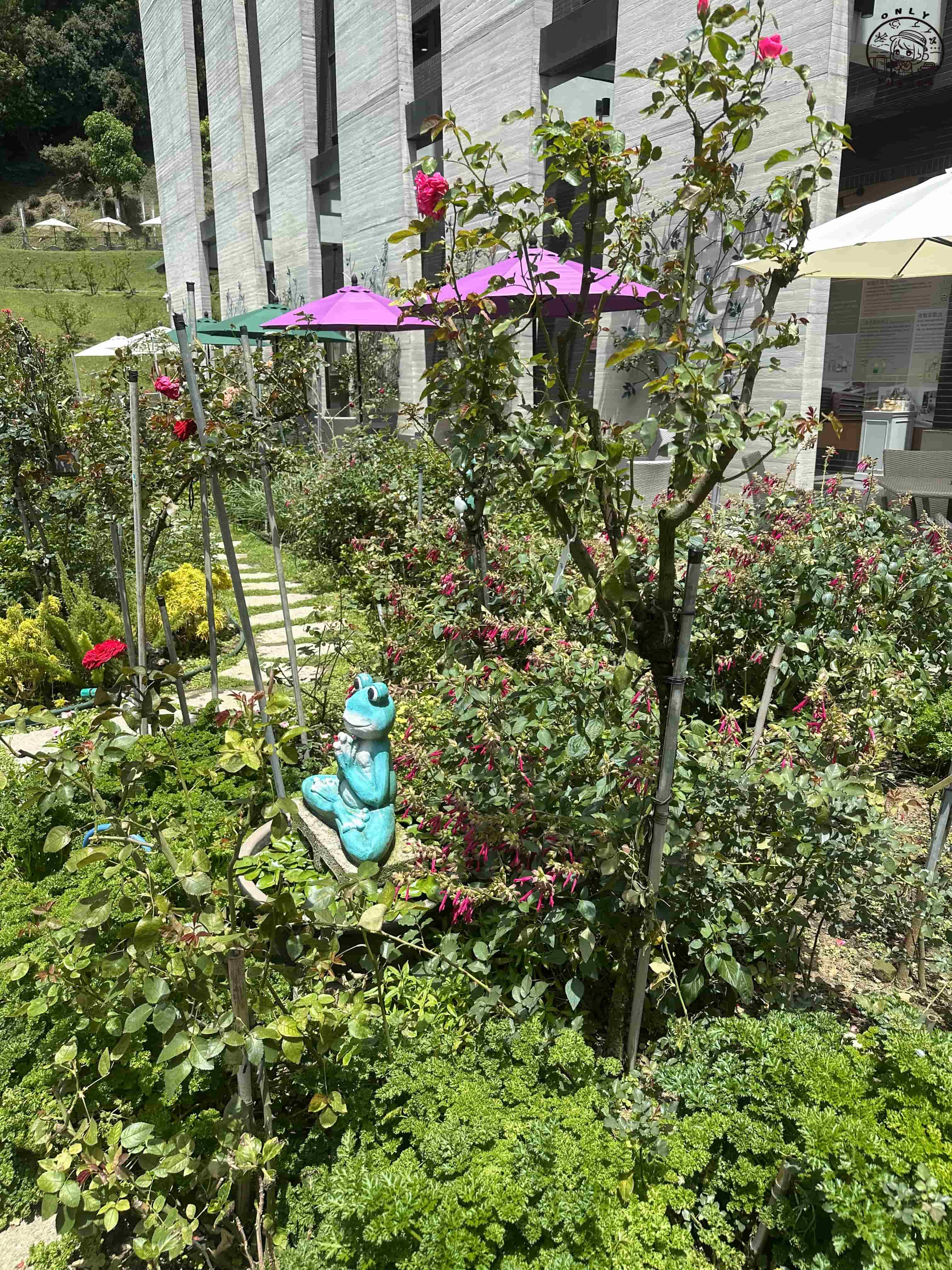 雅聞七里香玫瑰森林介紹