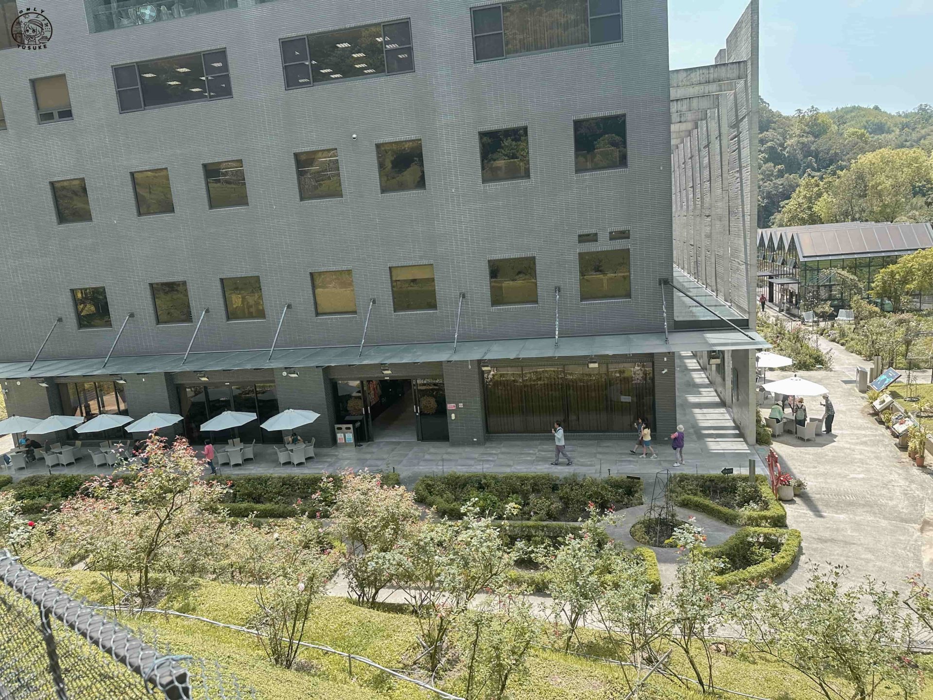 雅聞七里香玫瑰森林介紹