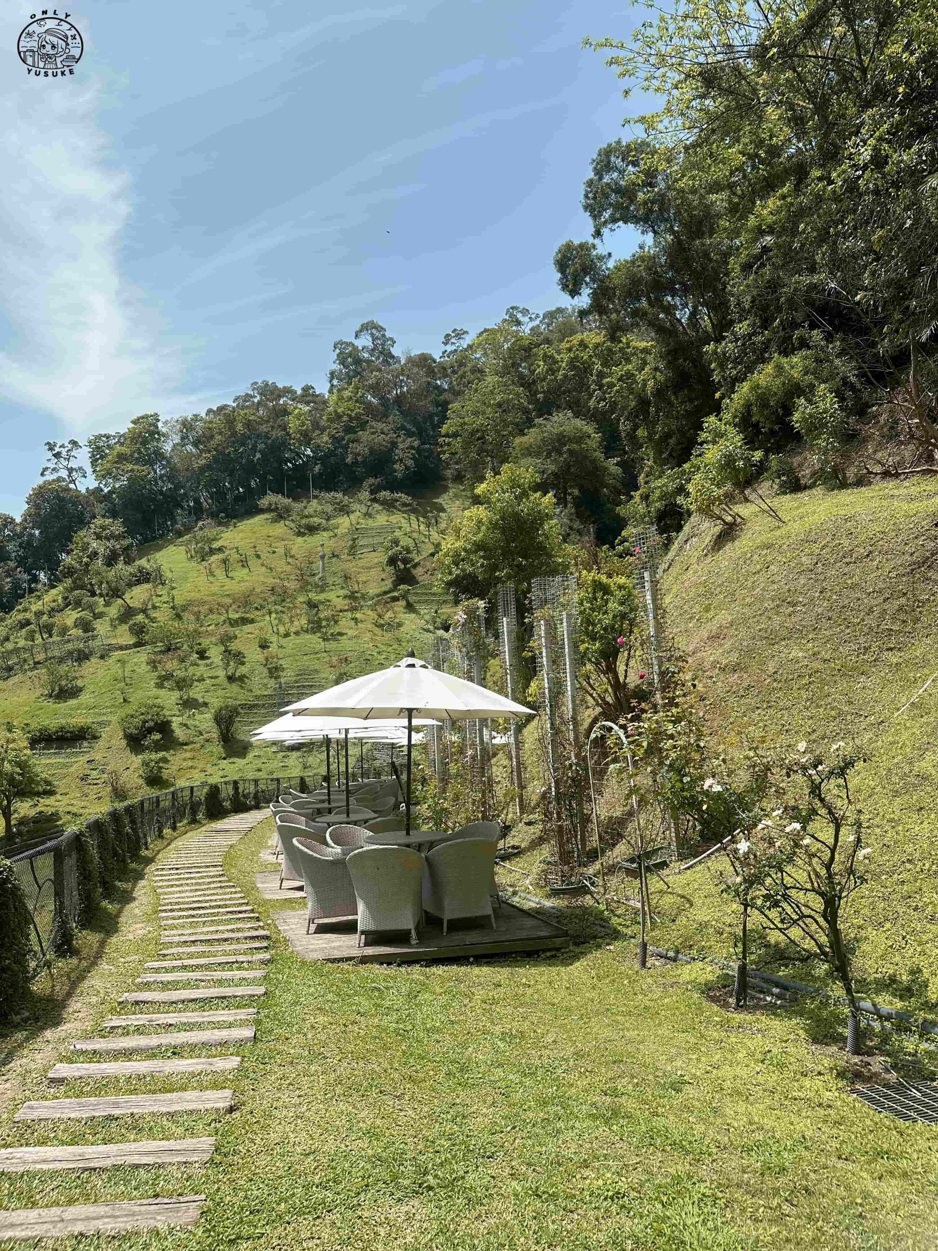 雅聞七里香玫瑰森林介紹