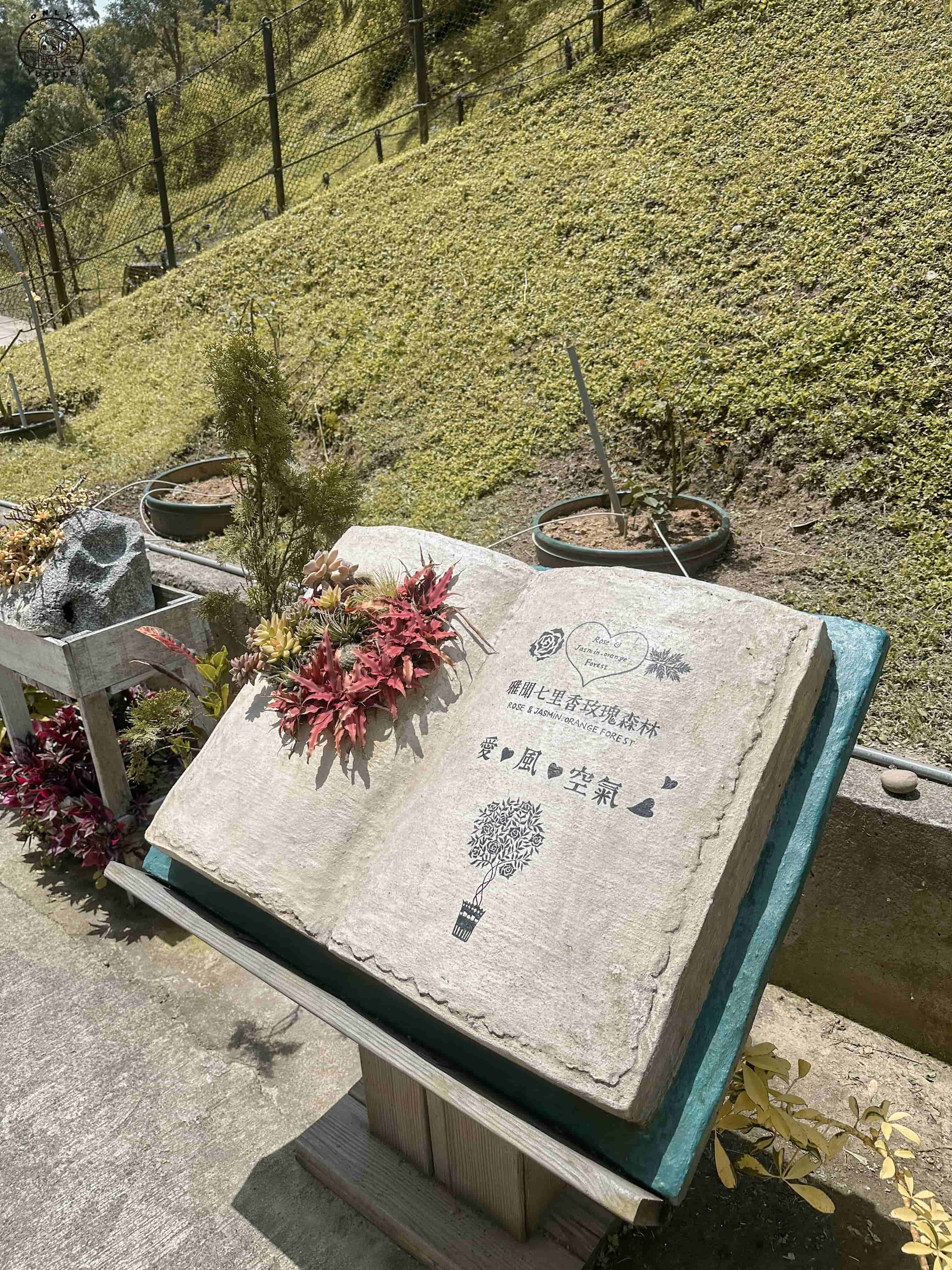 雅聞七里香玫瑰森林介紹