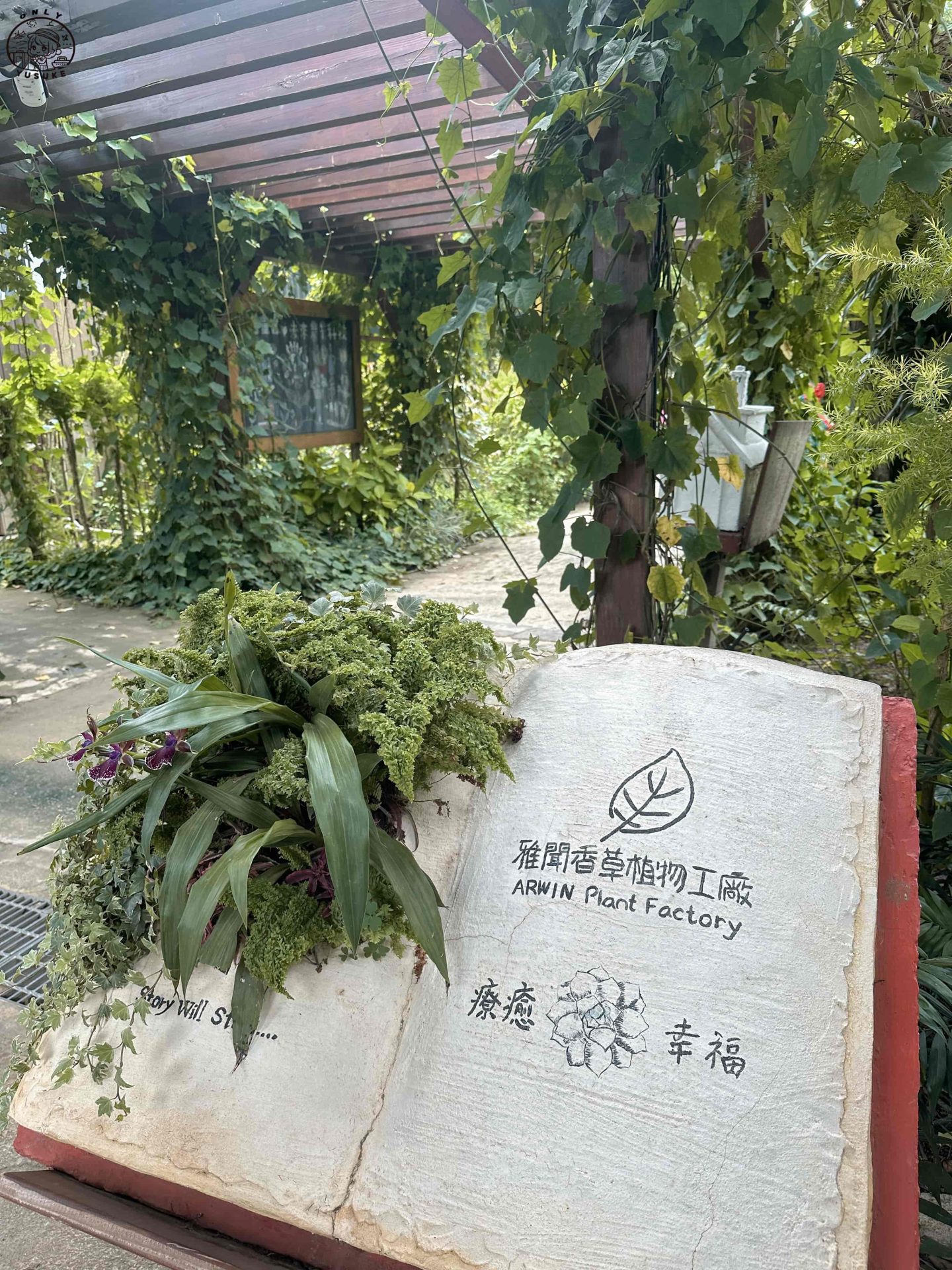 雅聞香草植物工廠介紹