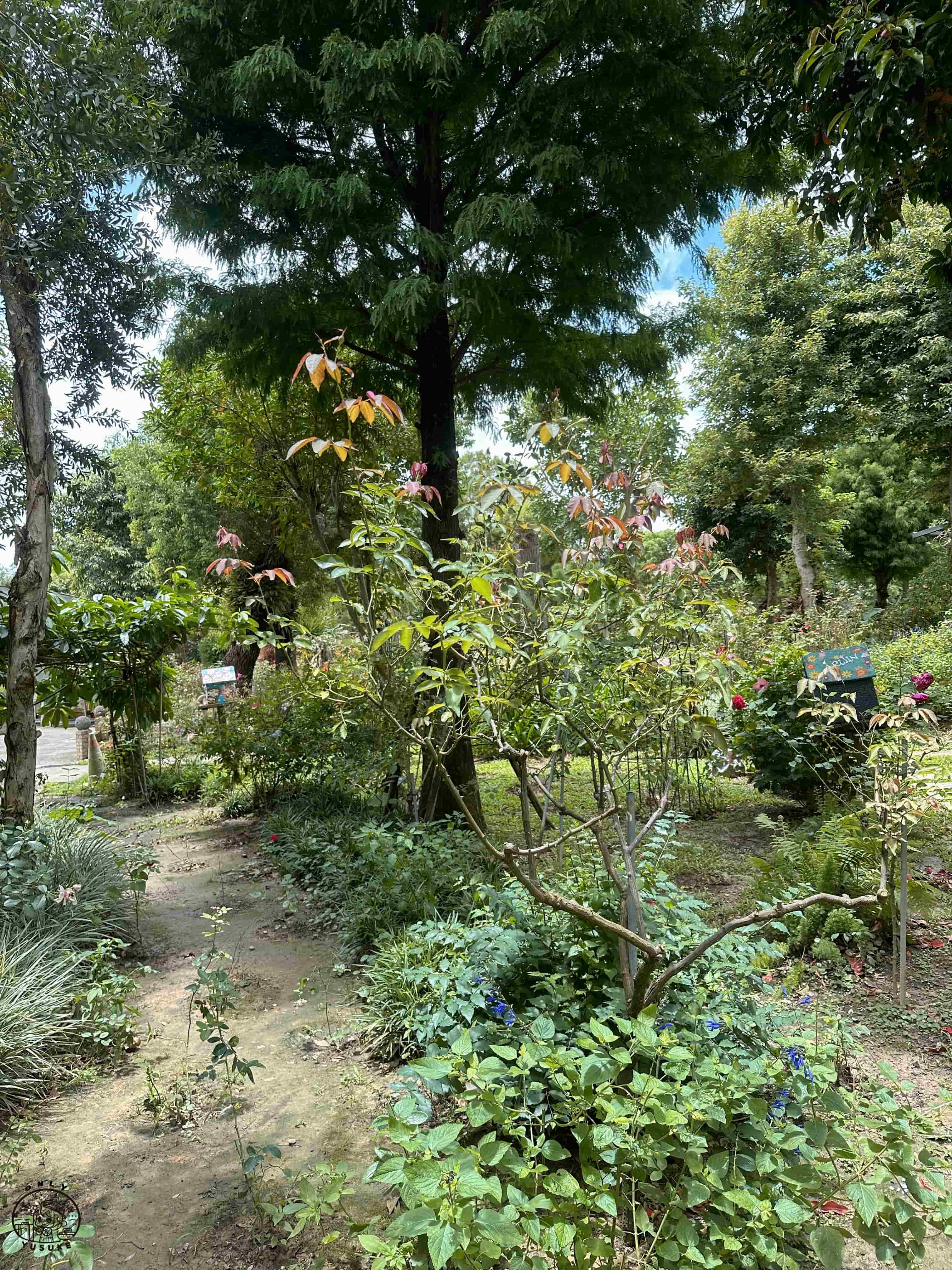 雅聞香草植物工廠介紹