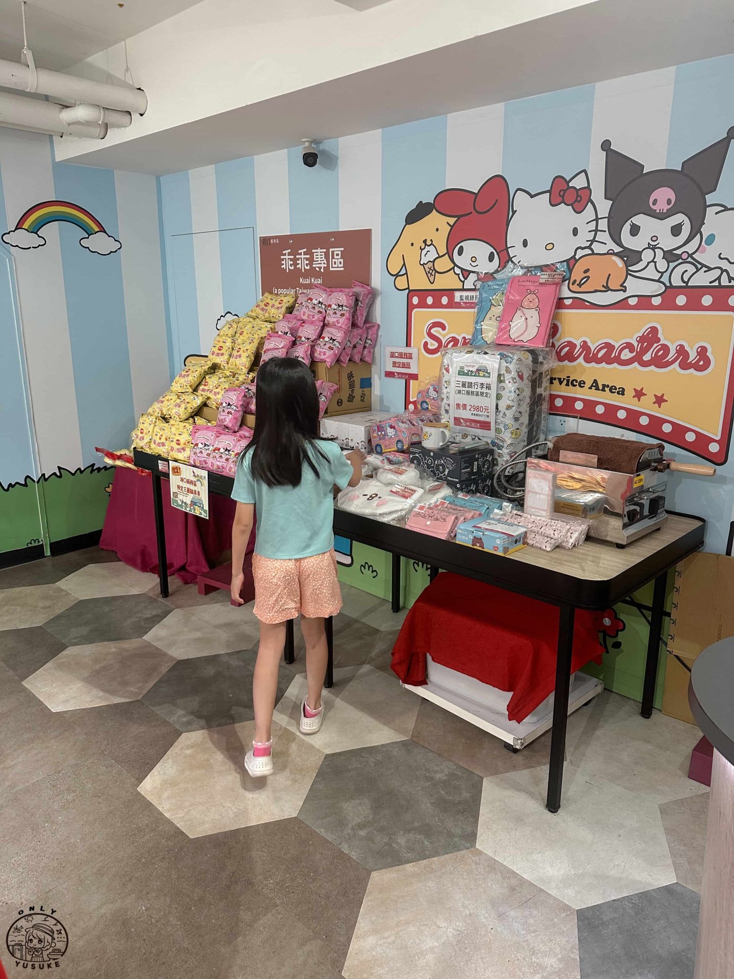 湖口三麗鷗休息站介紹