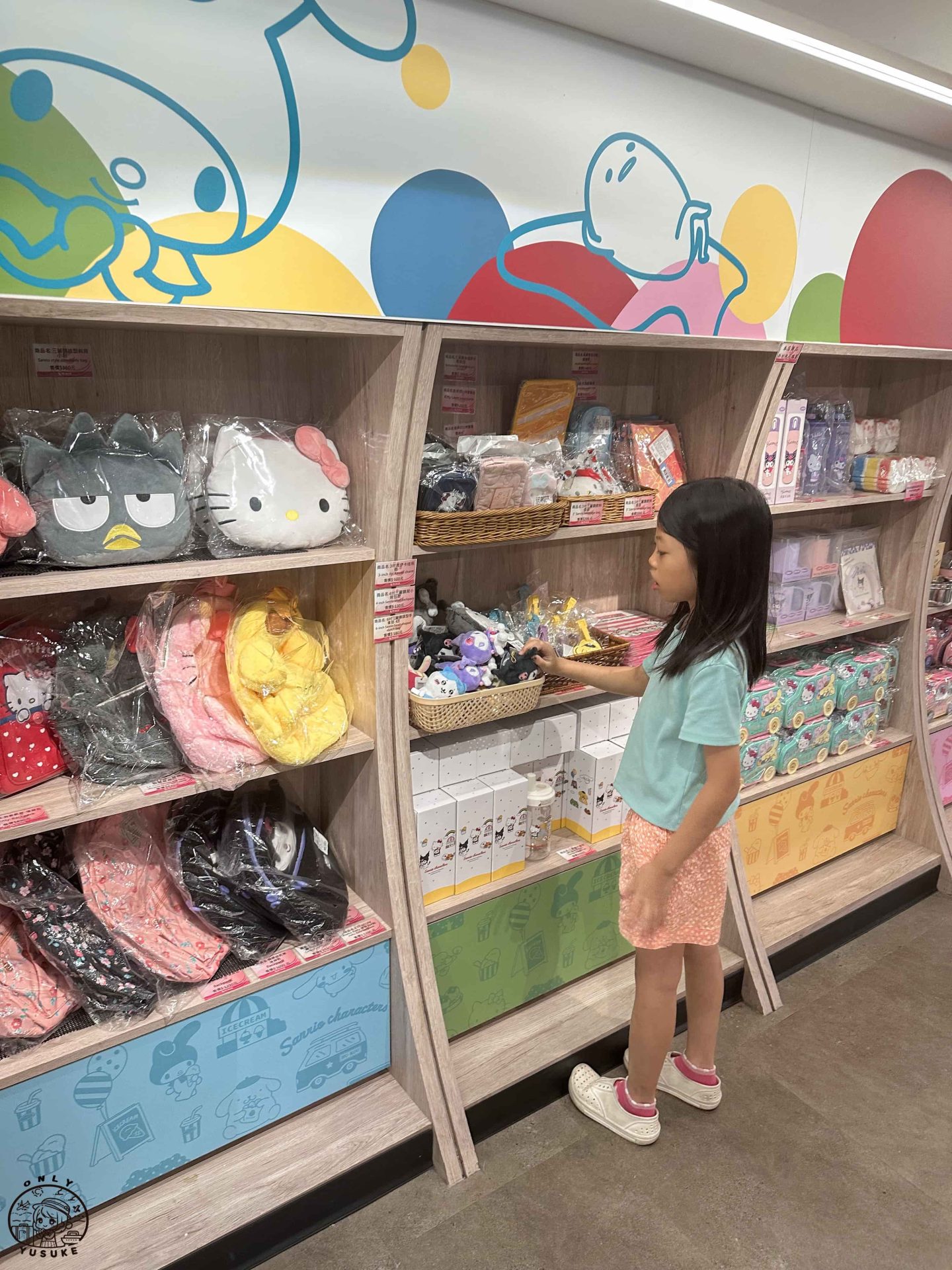 湖口三麗鷗休息站介紹