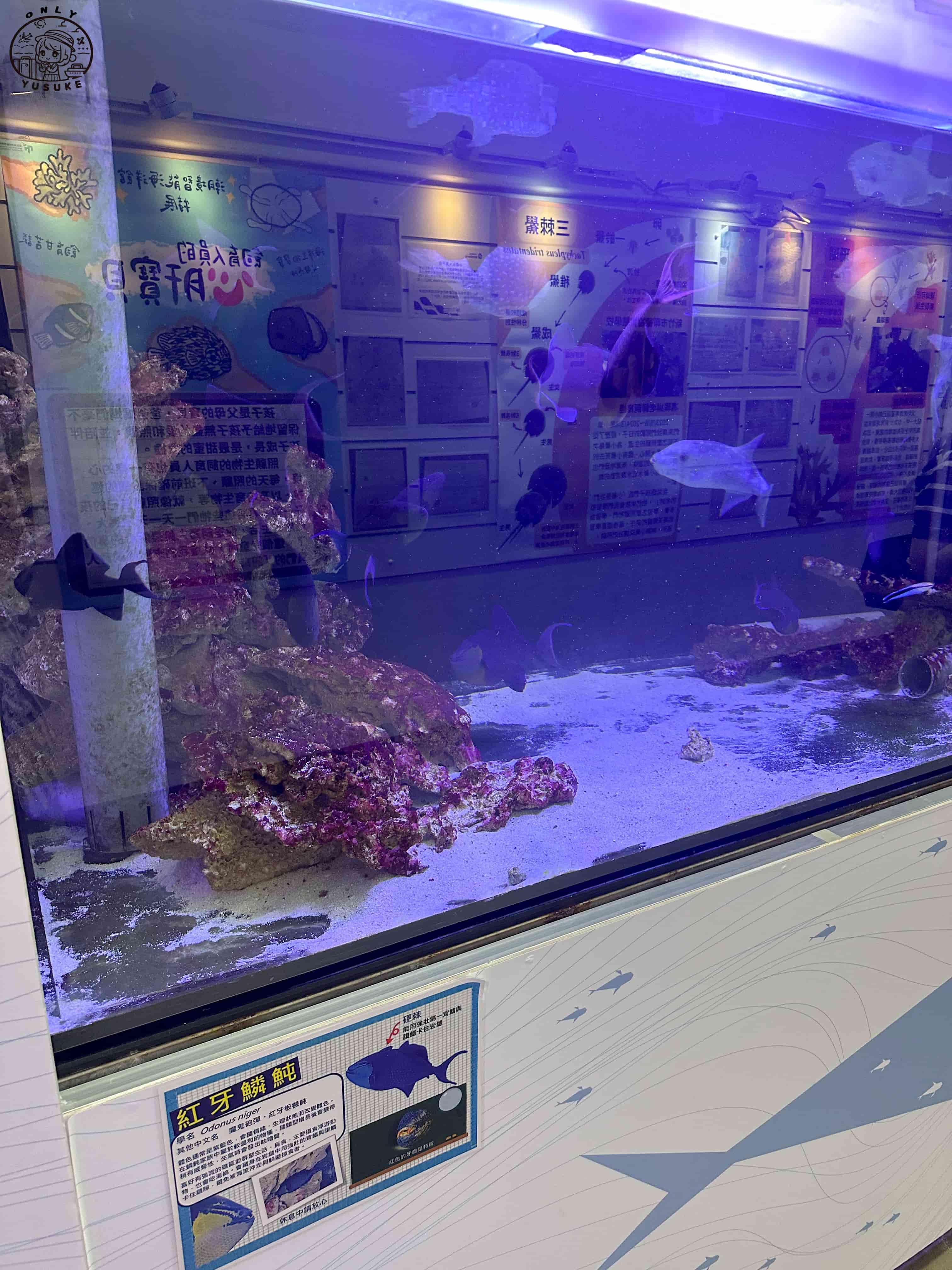 潮境智能海洋館介紹