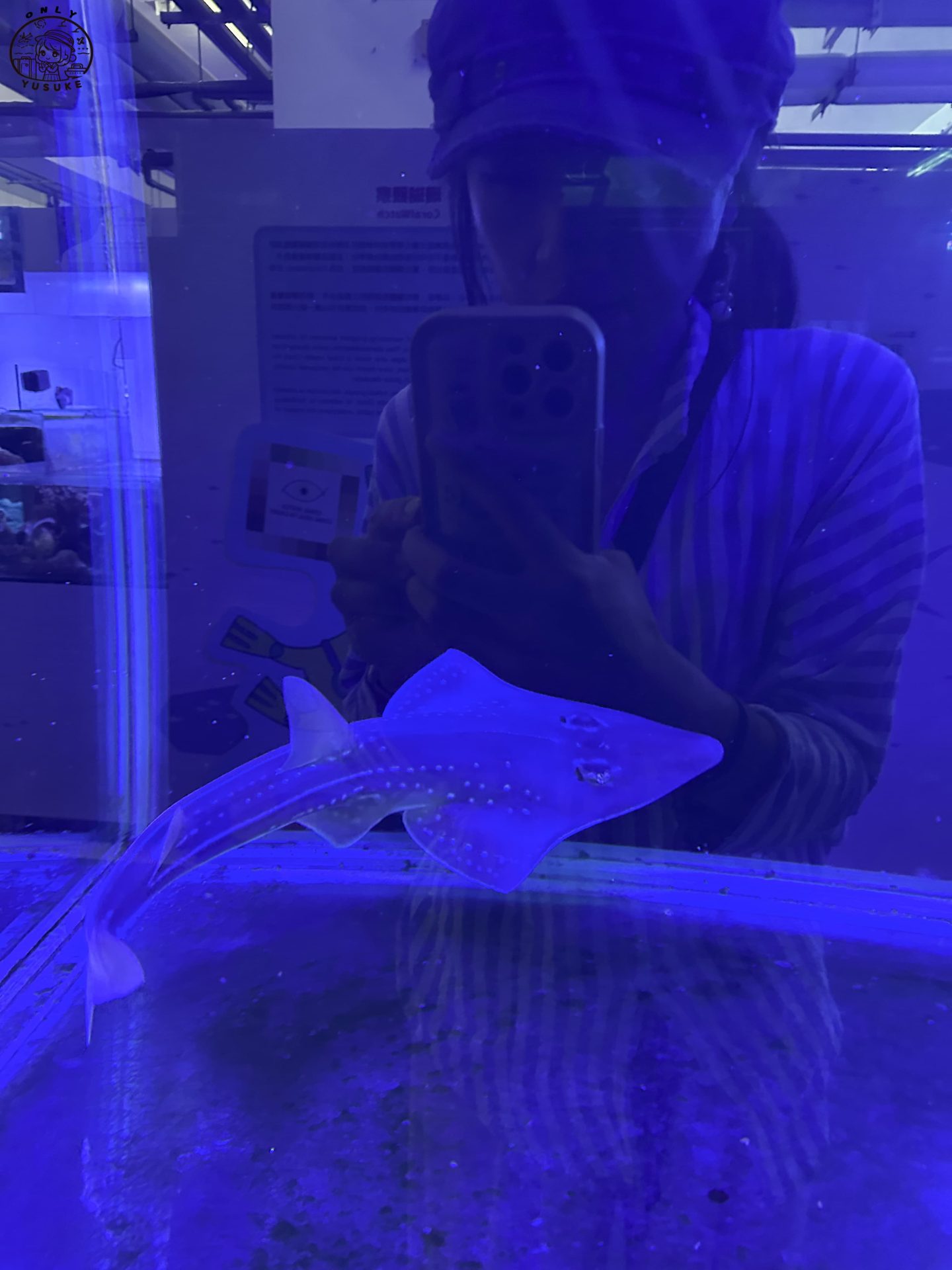 潮境智能海洋館介紹