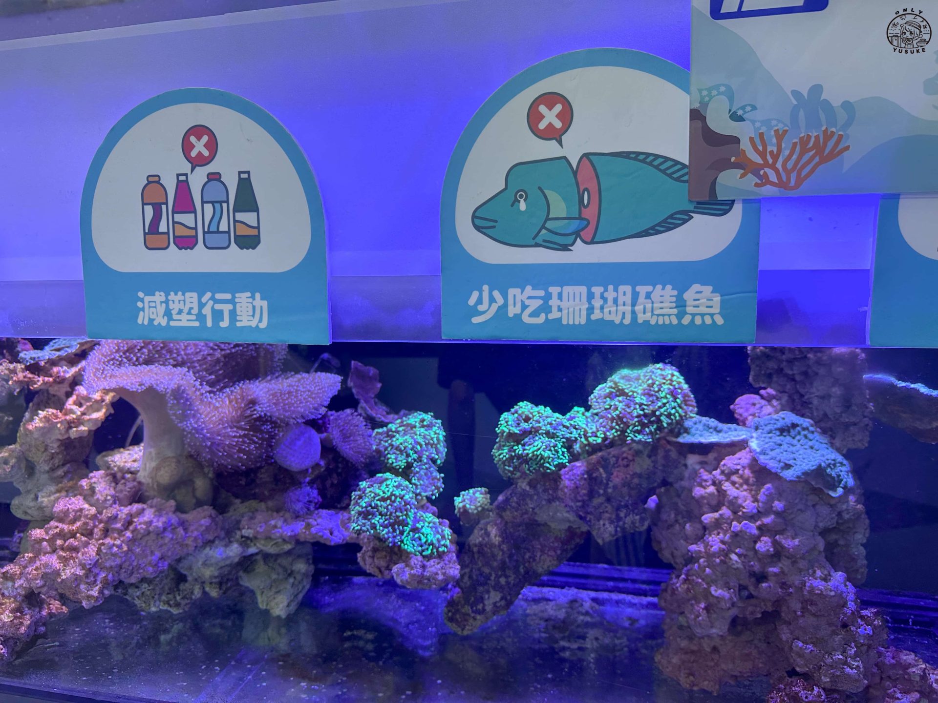 潮境智能海洋館介紹