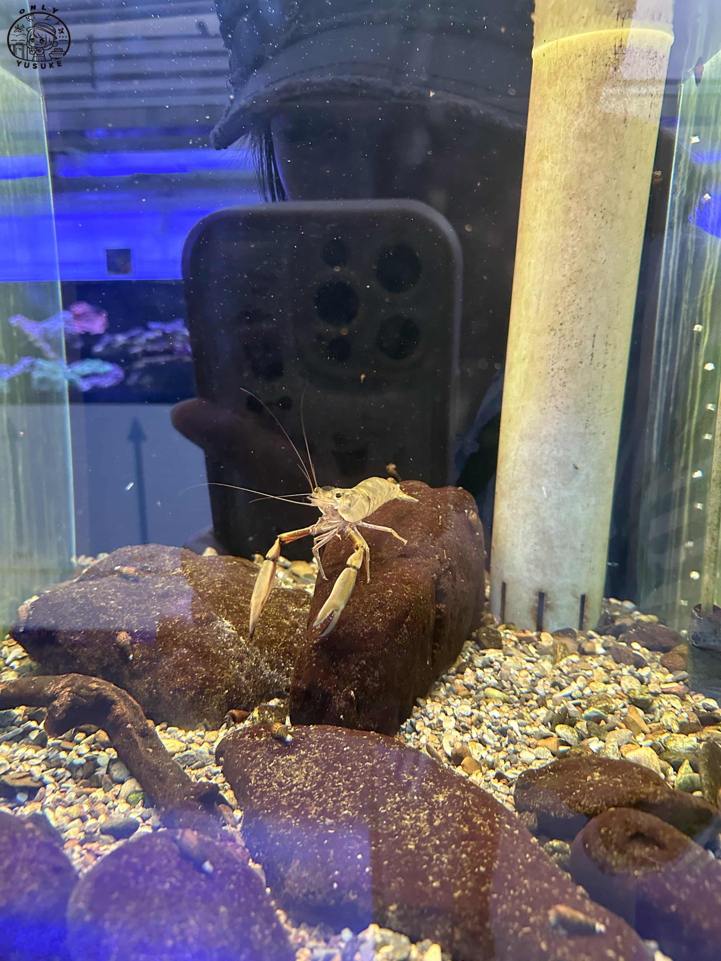 潮境智能海洋館介紹