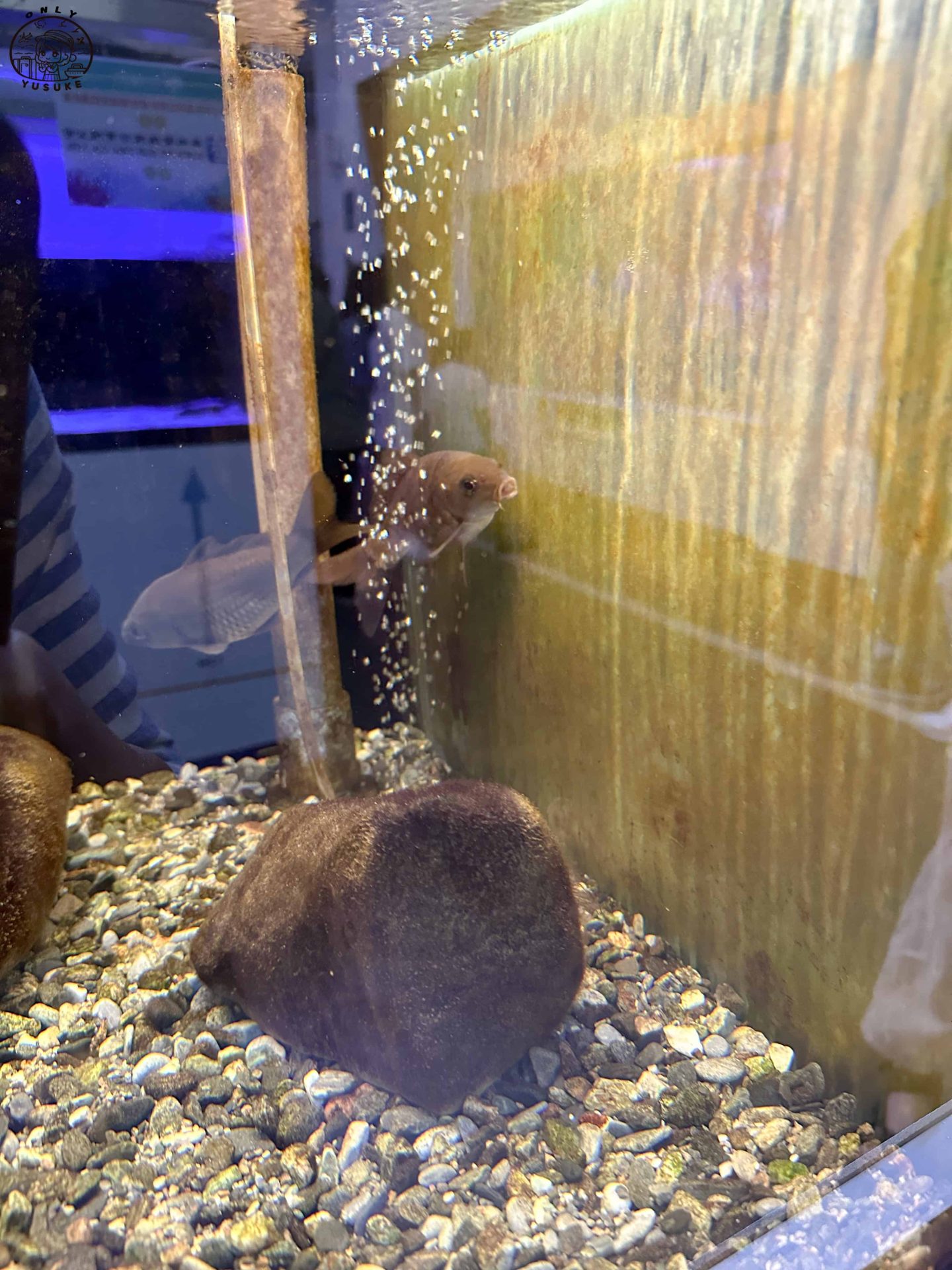 潮境智能海洋館介紹