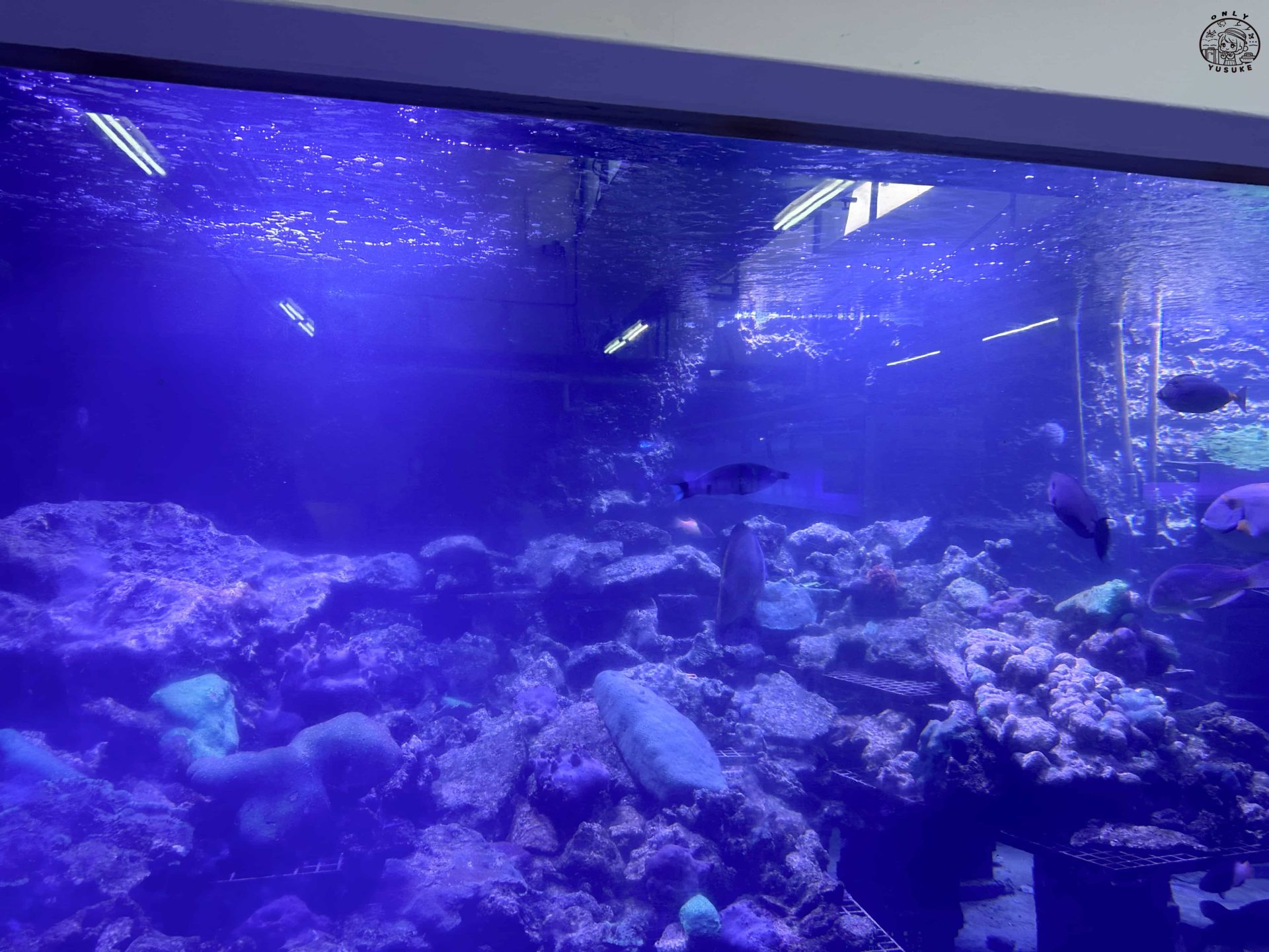 潮境智能海洋館介紹