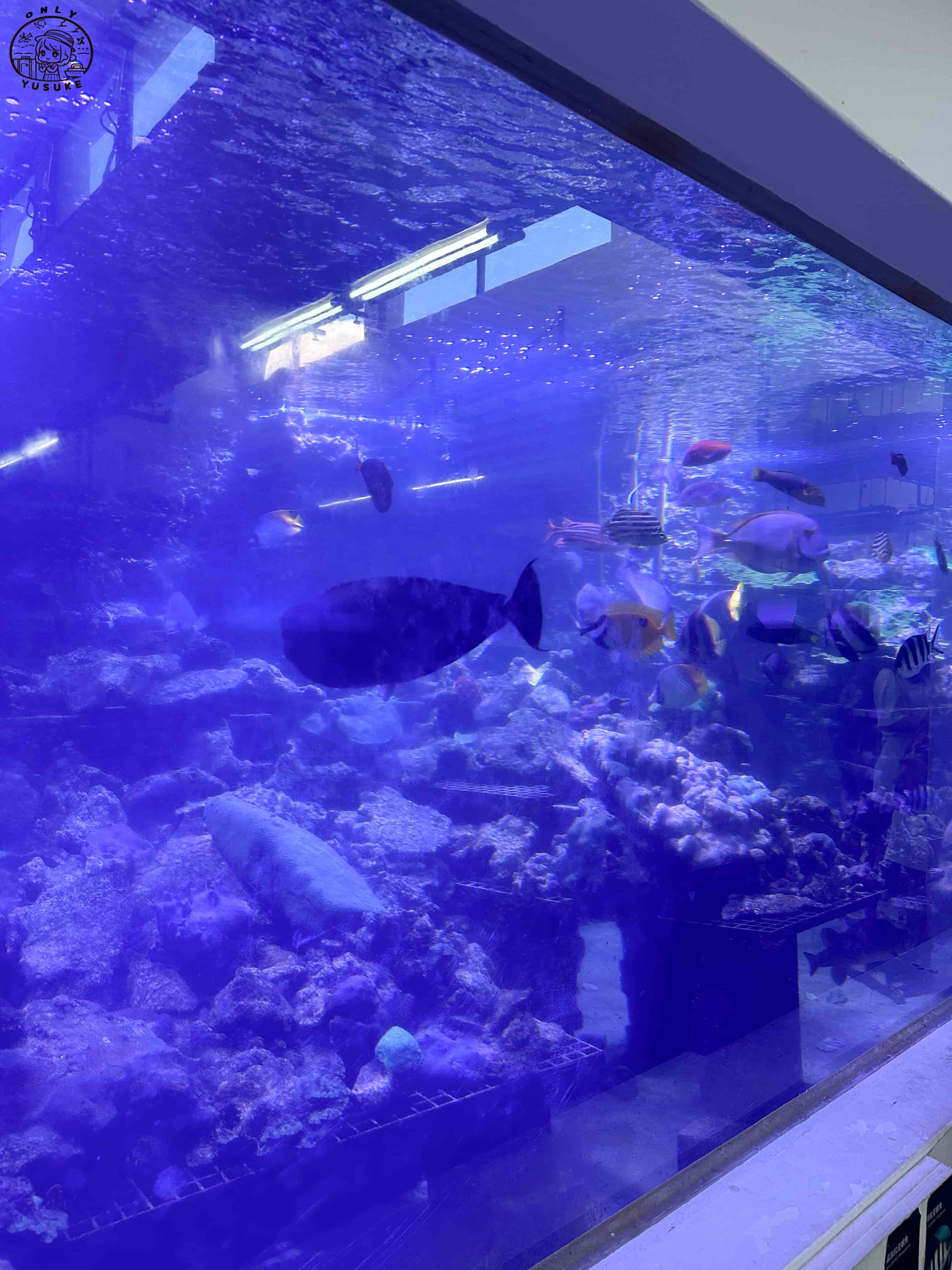 潮境智能海洋館介紹