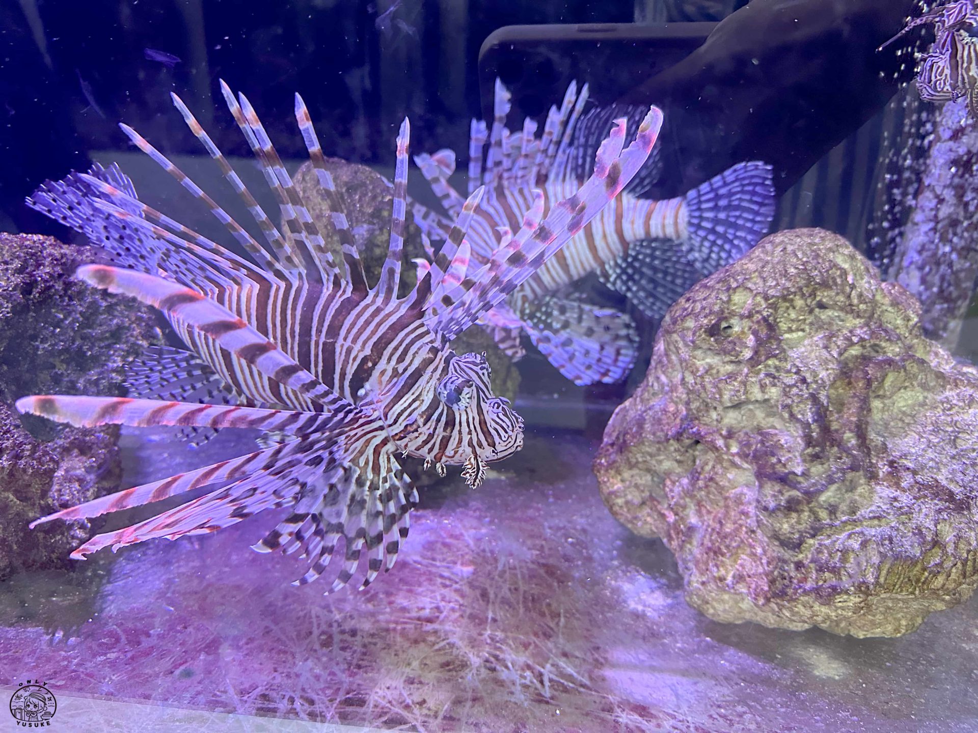 潮境智能海洋館介紹