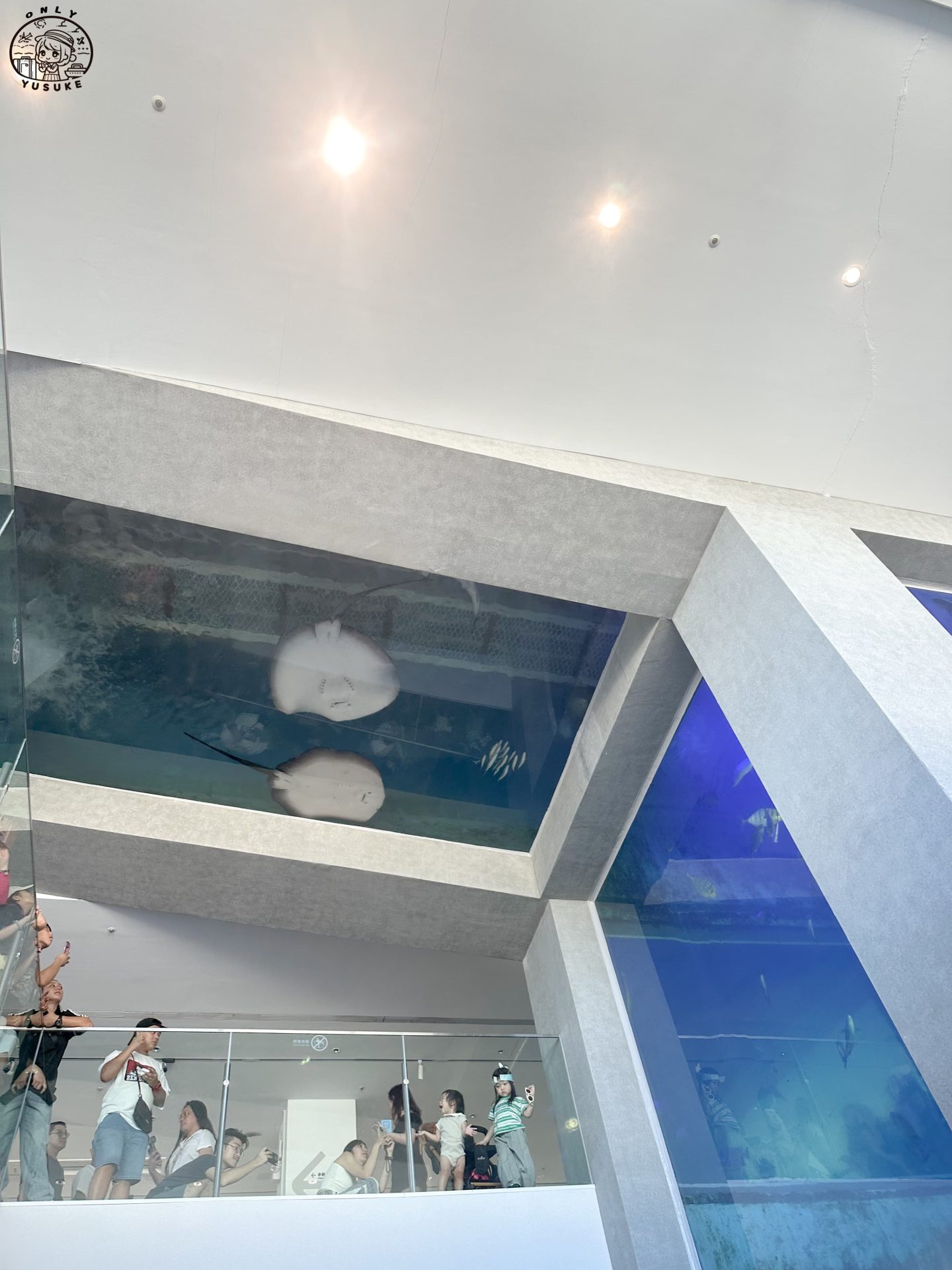 潮境智能海洋館介紹