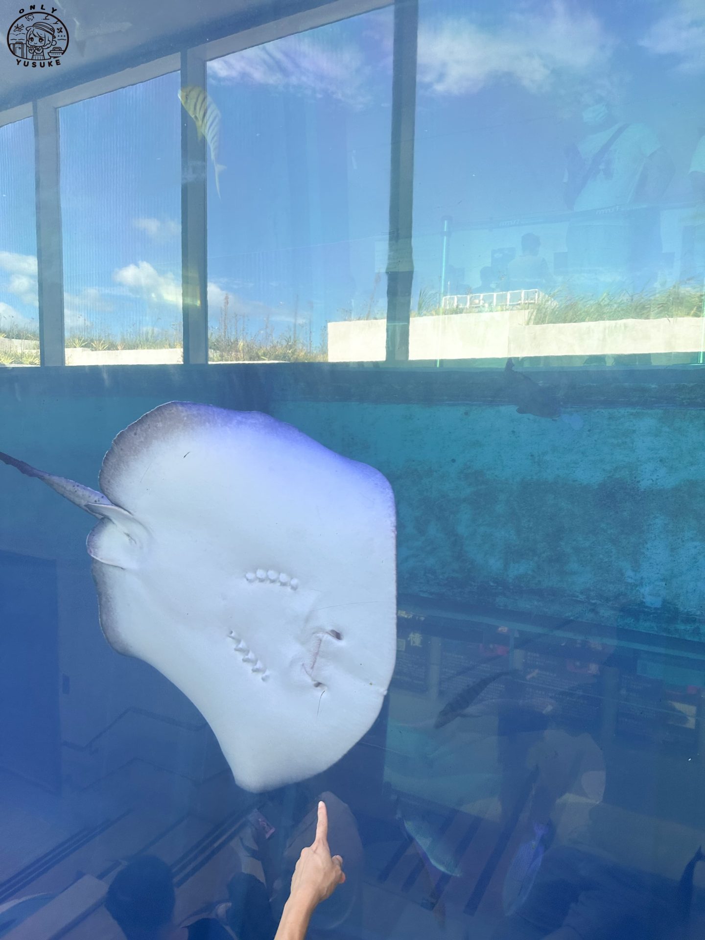 潮境智能海洋館介紹