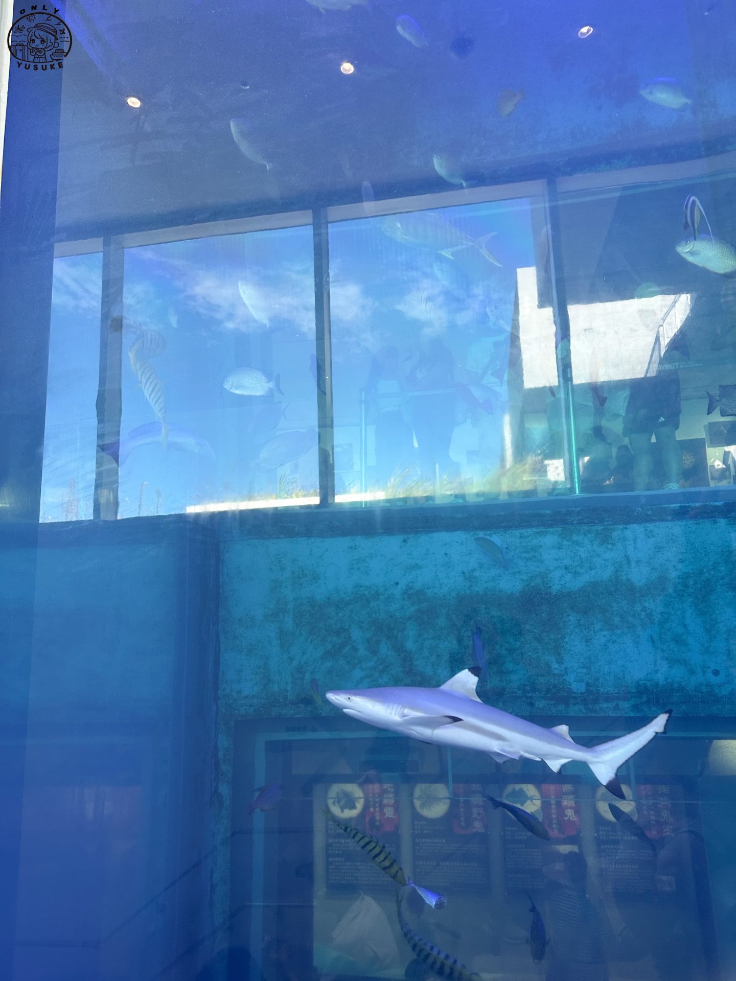 潮境智能海洋館介紹