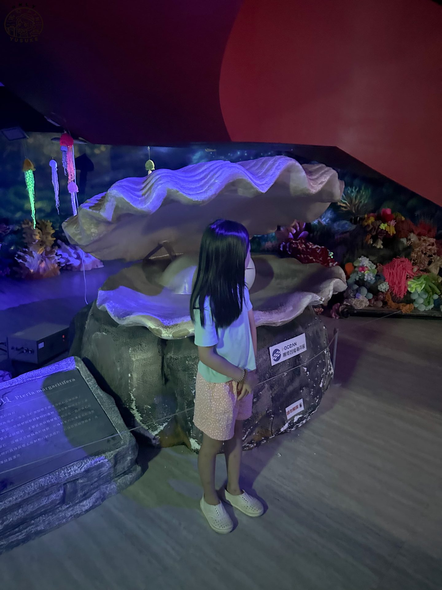 潮境智能海洋館介紹