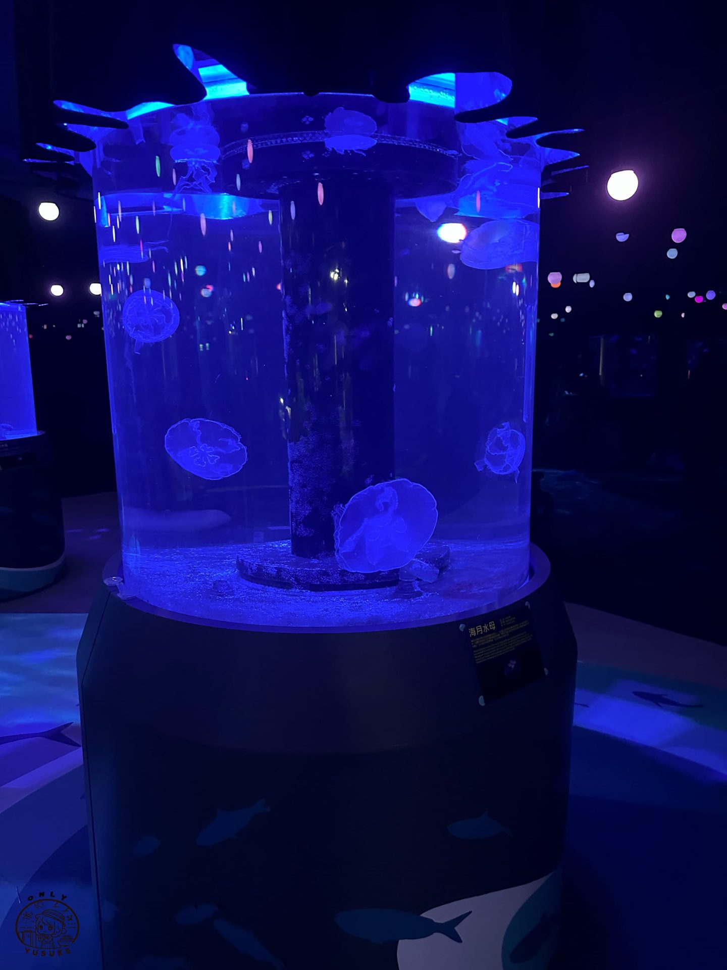 潮境智能海洋館介紹