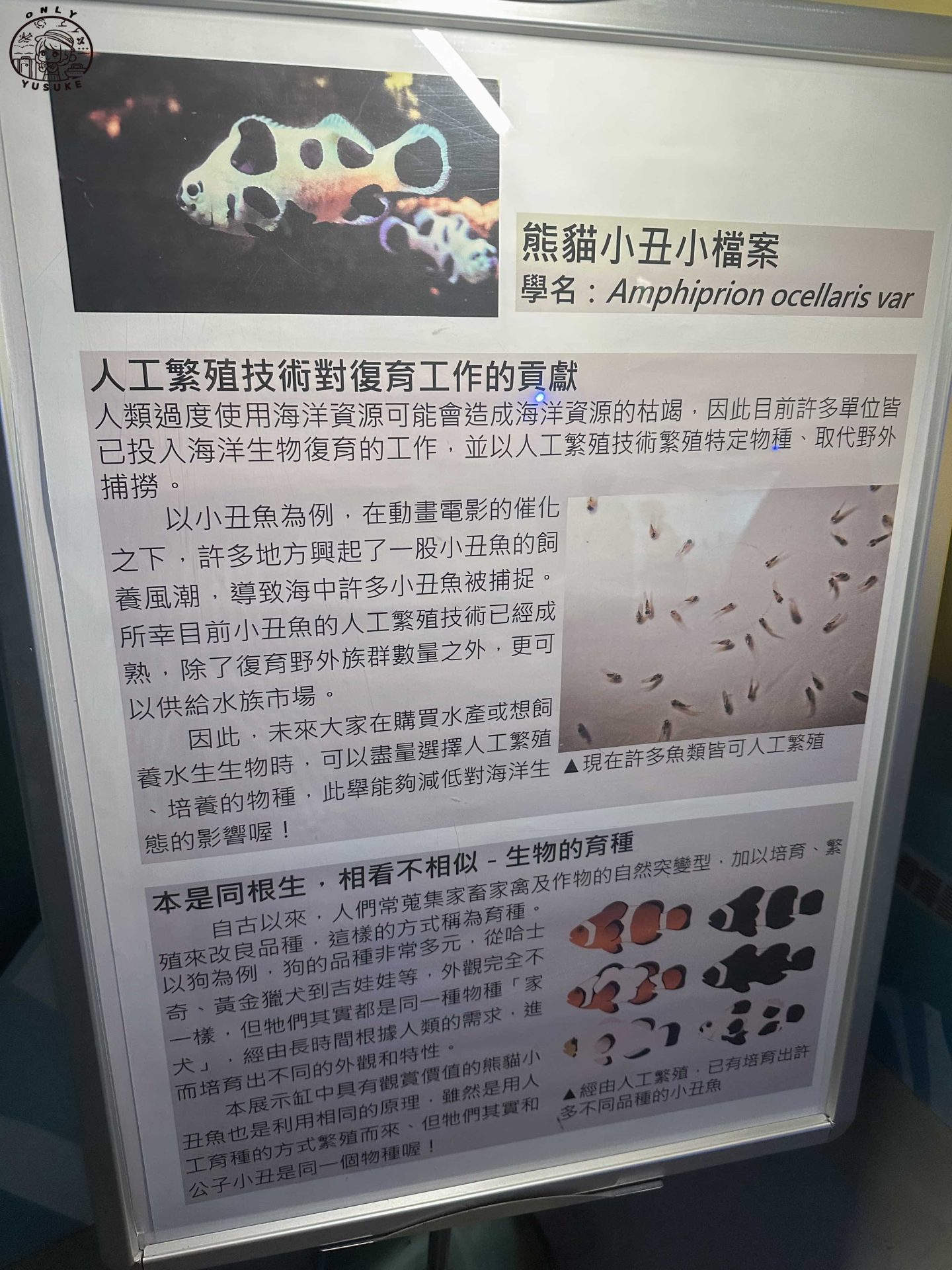 潮境智能海洋館介紹