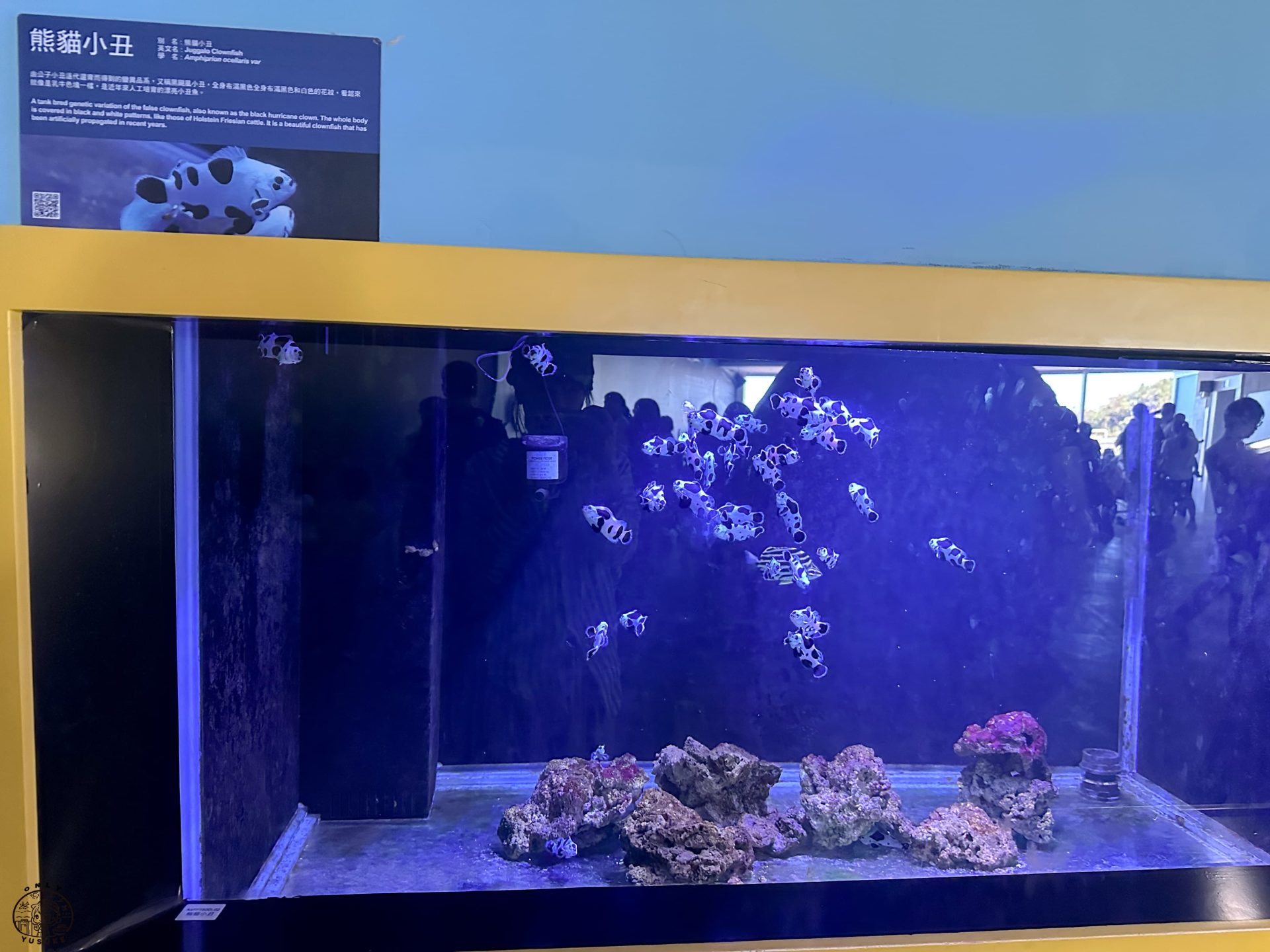 潮境智能海洋館介紹