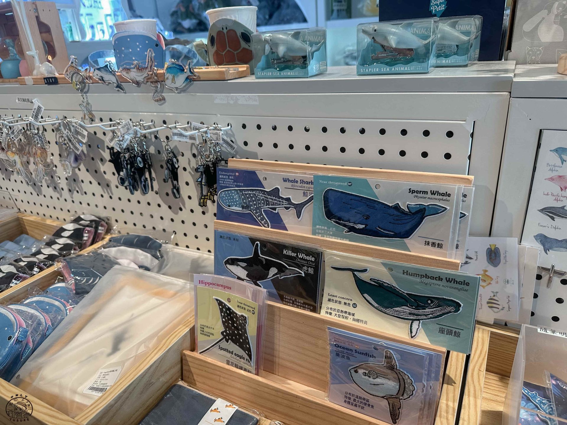 潮境智能海洋館介紹