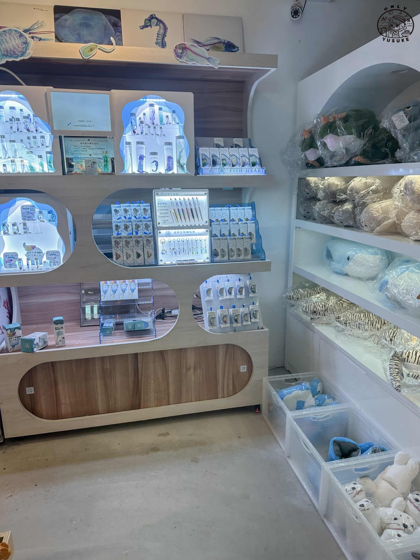 潮境智能海洋館介紹