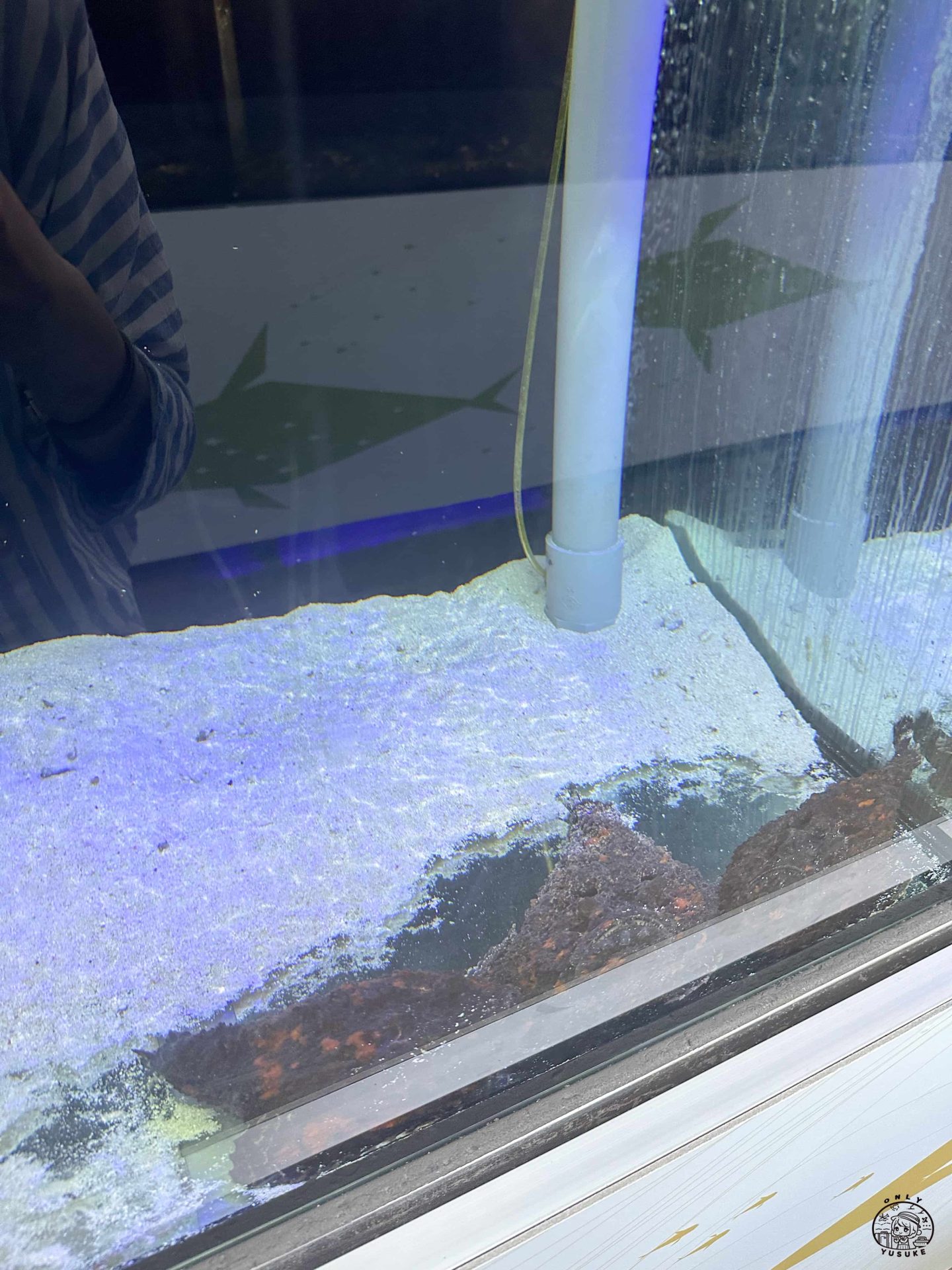 潮境智能海洋館介紹