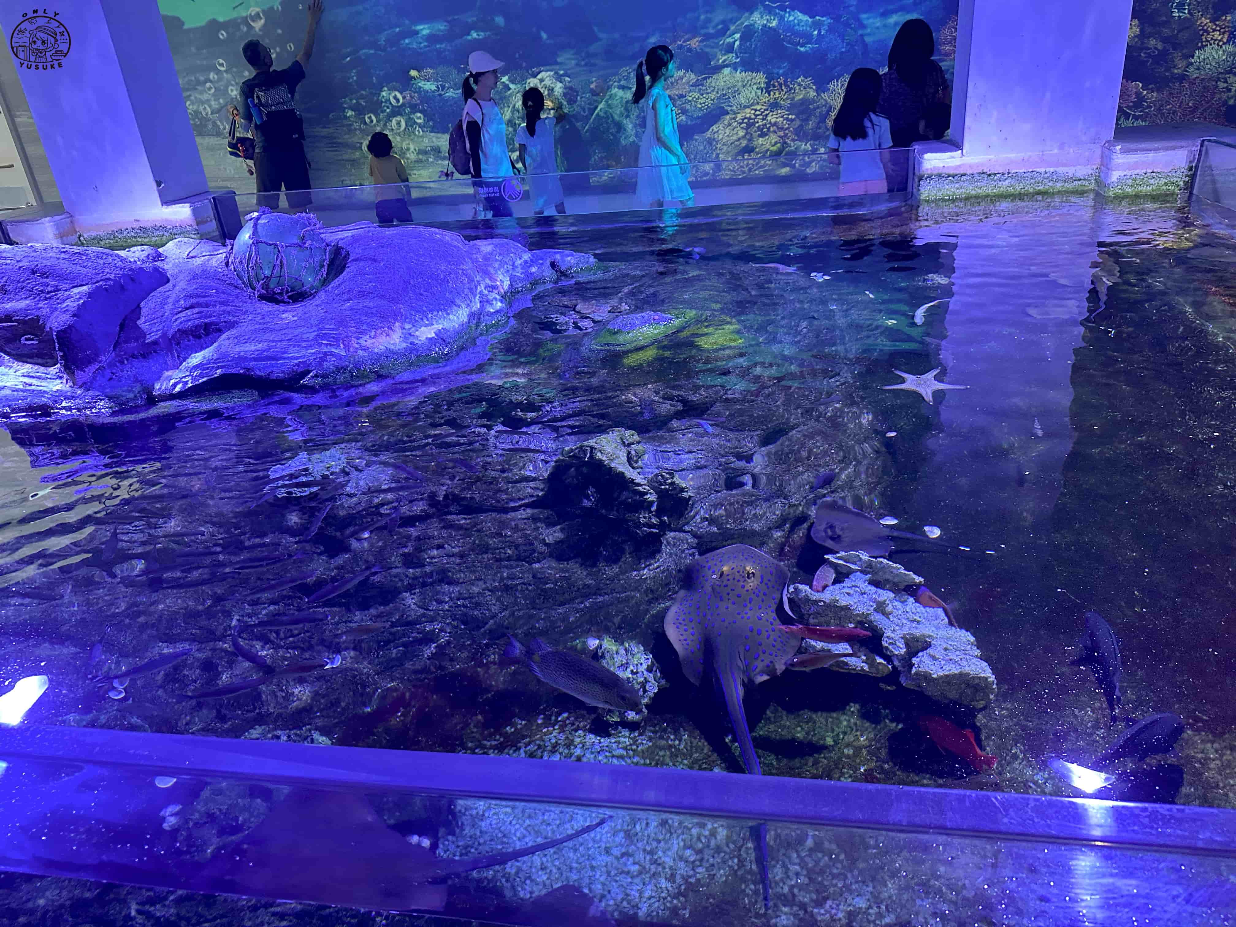 潮境智能海洋館介紹