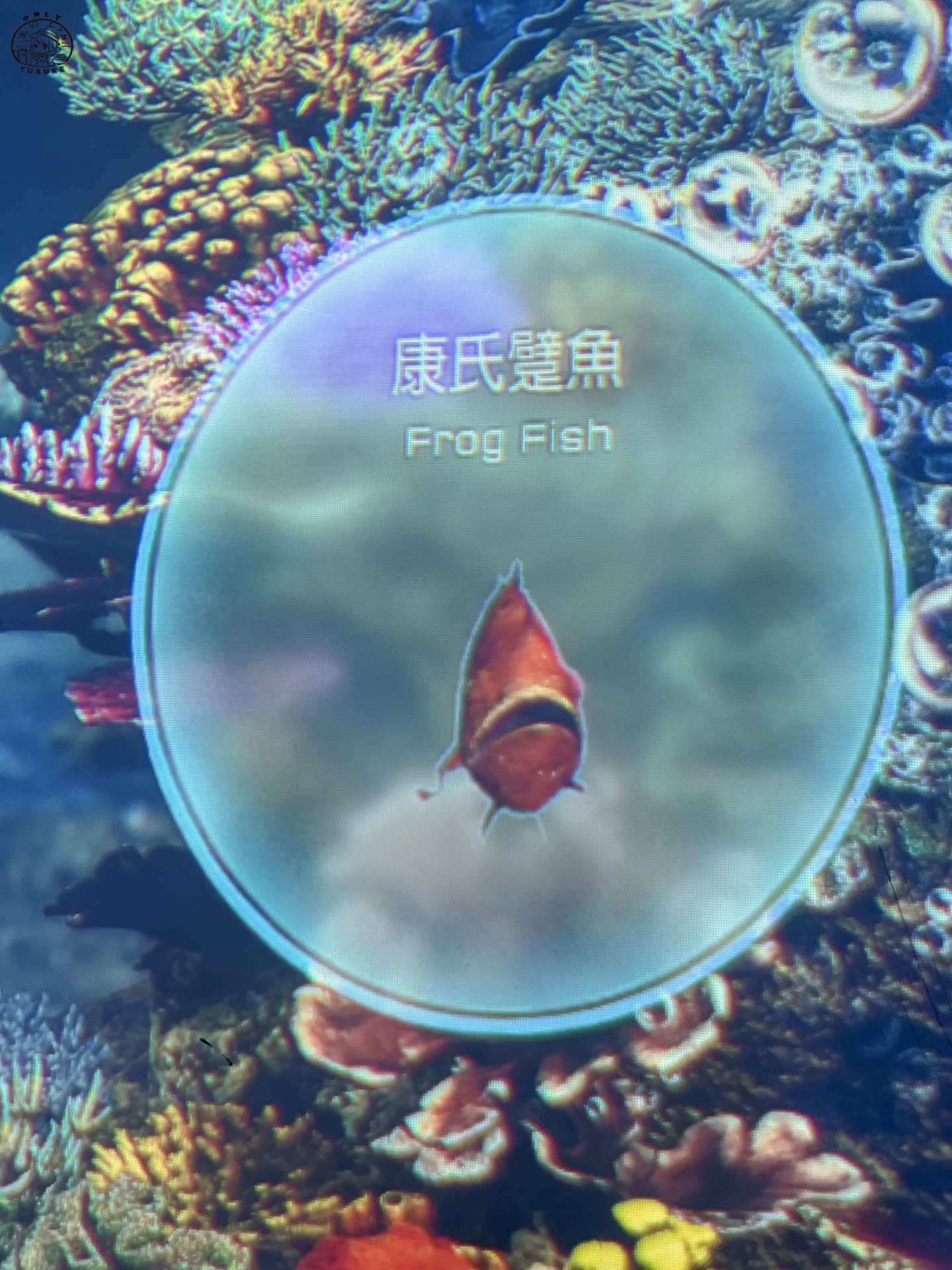 潮境智能海洋館介紹