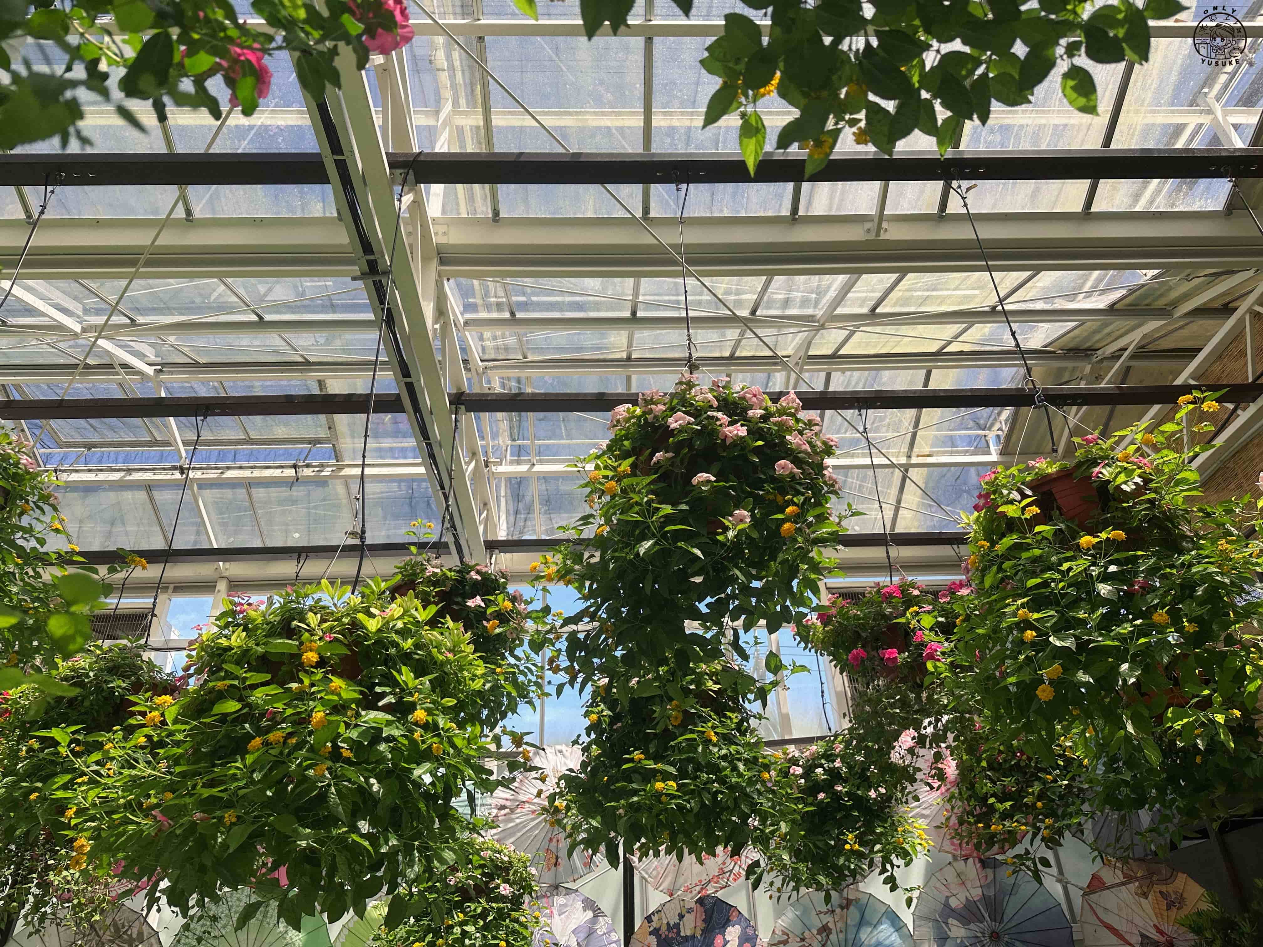 宜蘭動植物王國介紹