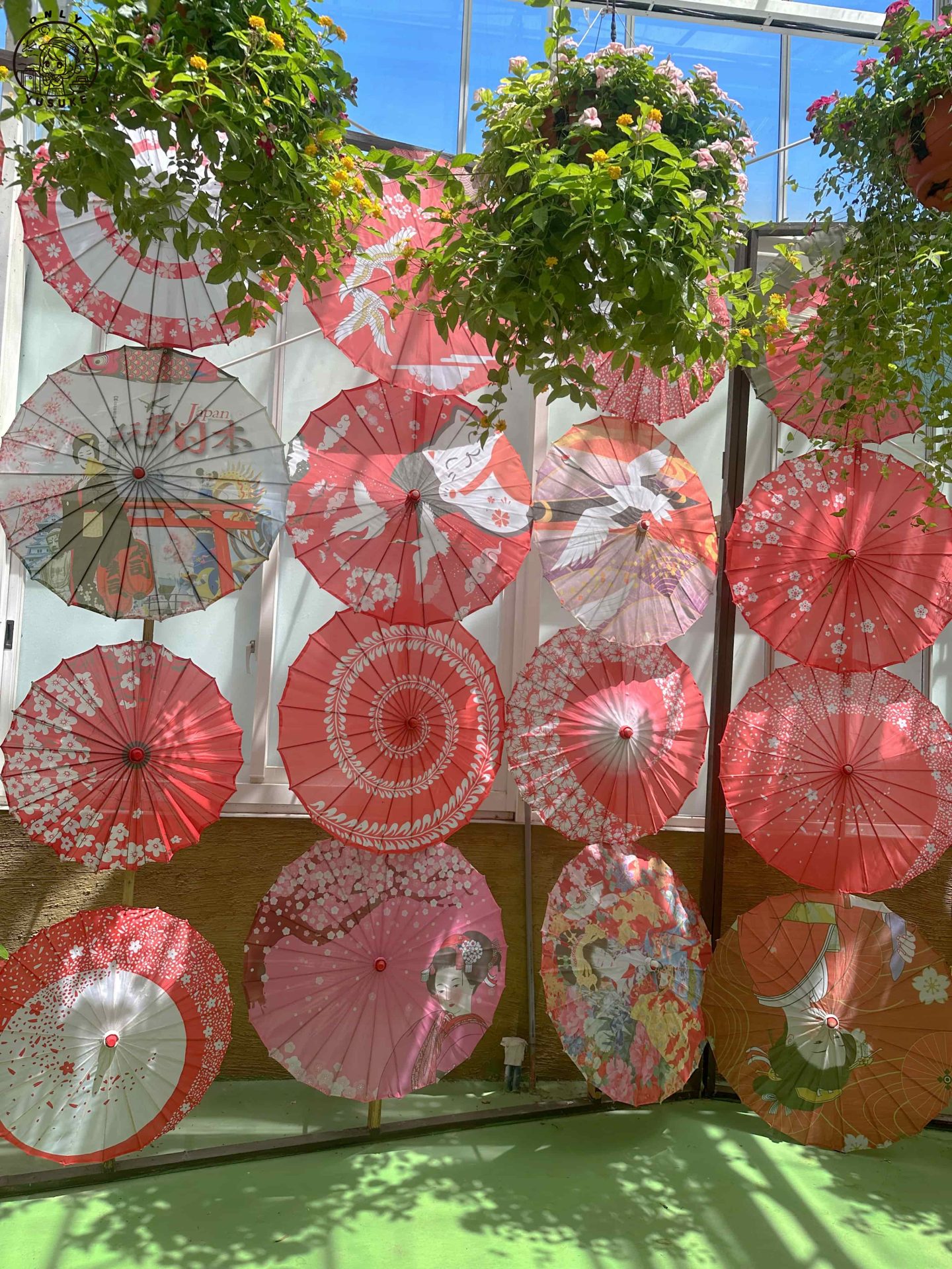 宜蘭動植物王國介紹