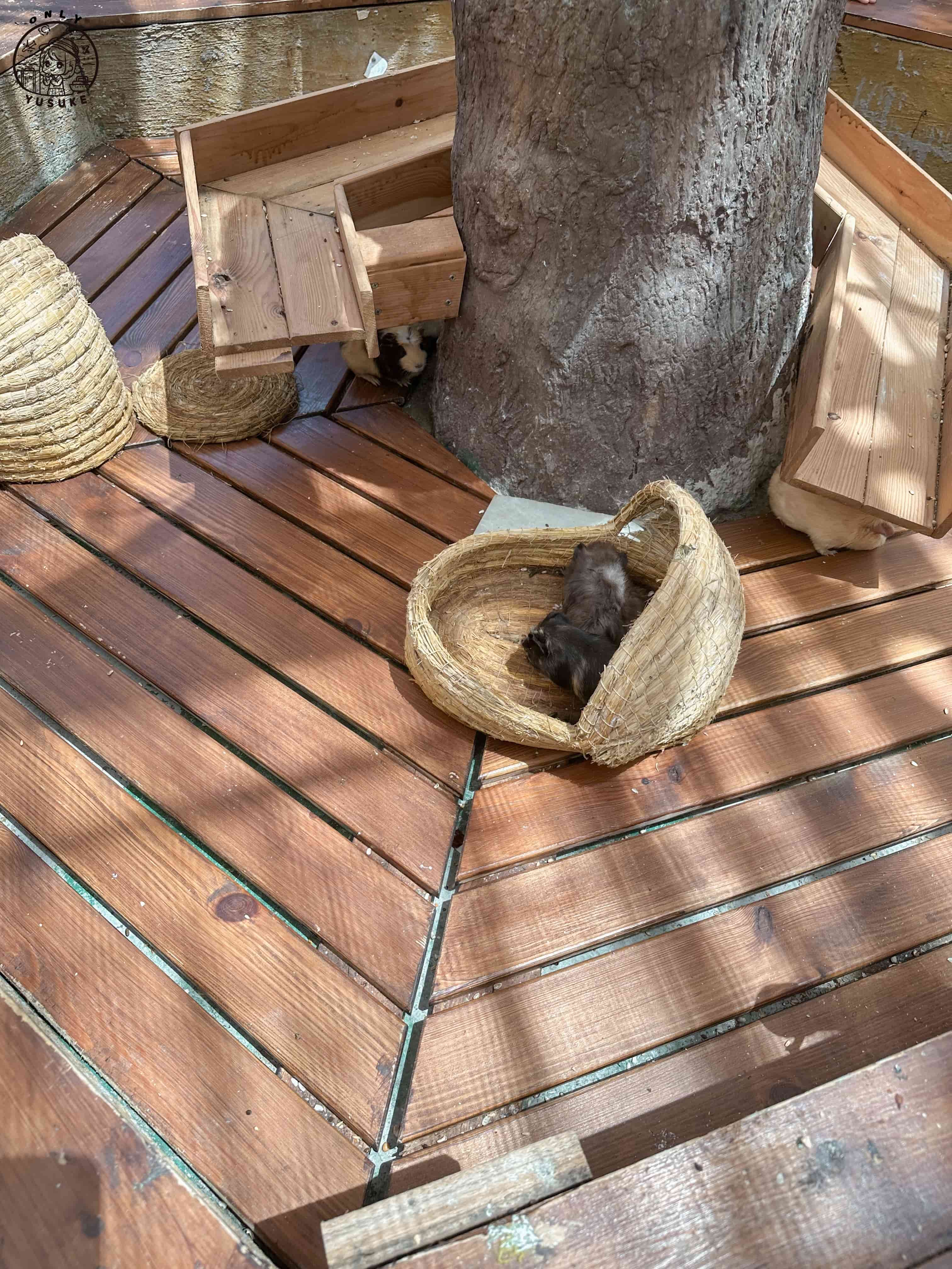 宜蘭動植物王國介紹