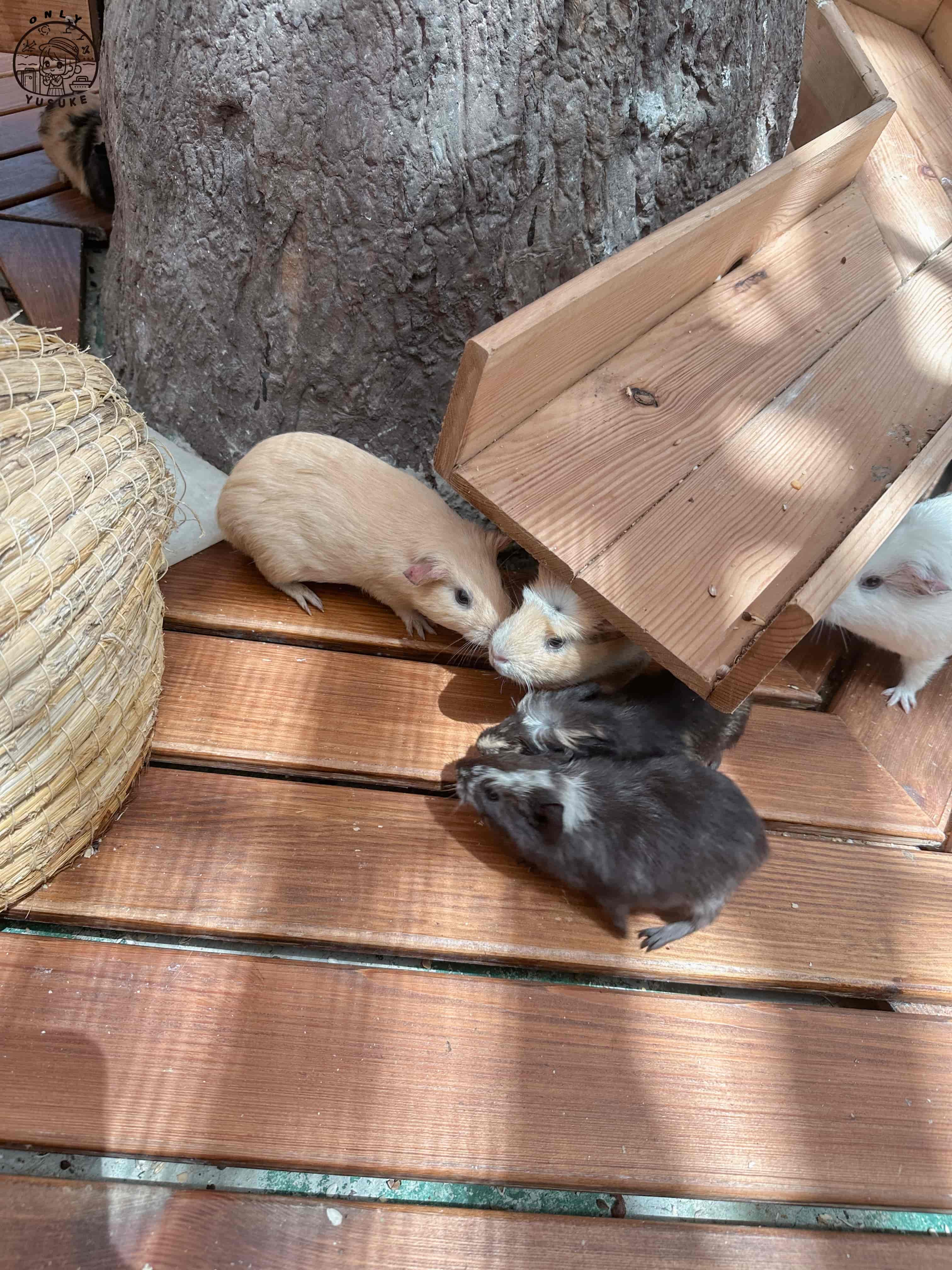 宜蘭動植物王國介紹