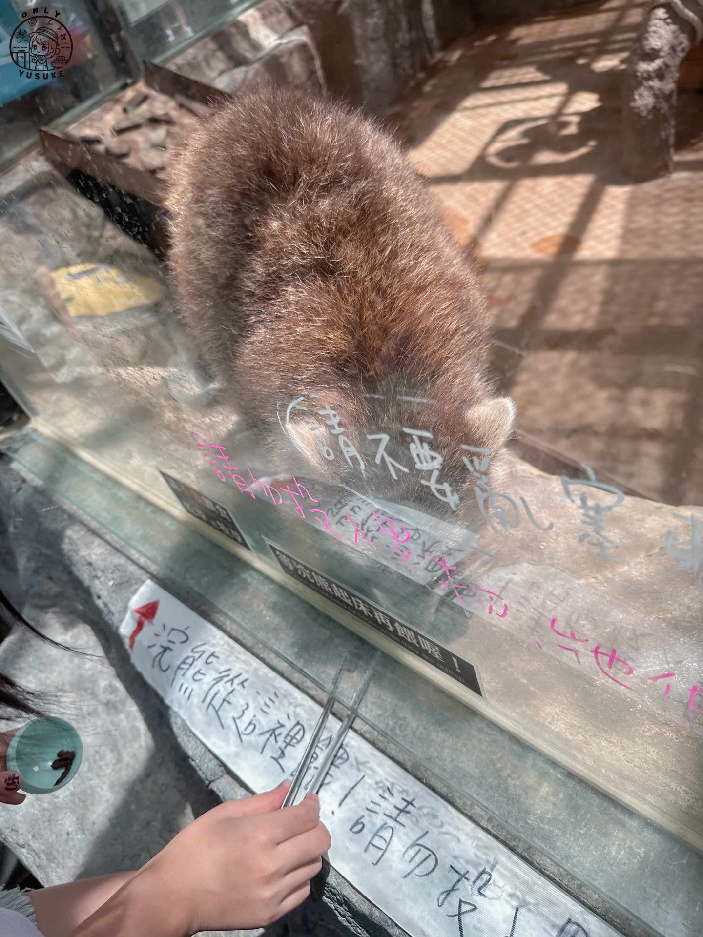 宜蘭動植物王國介紹