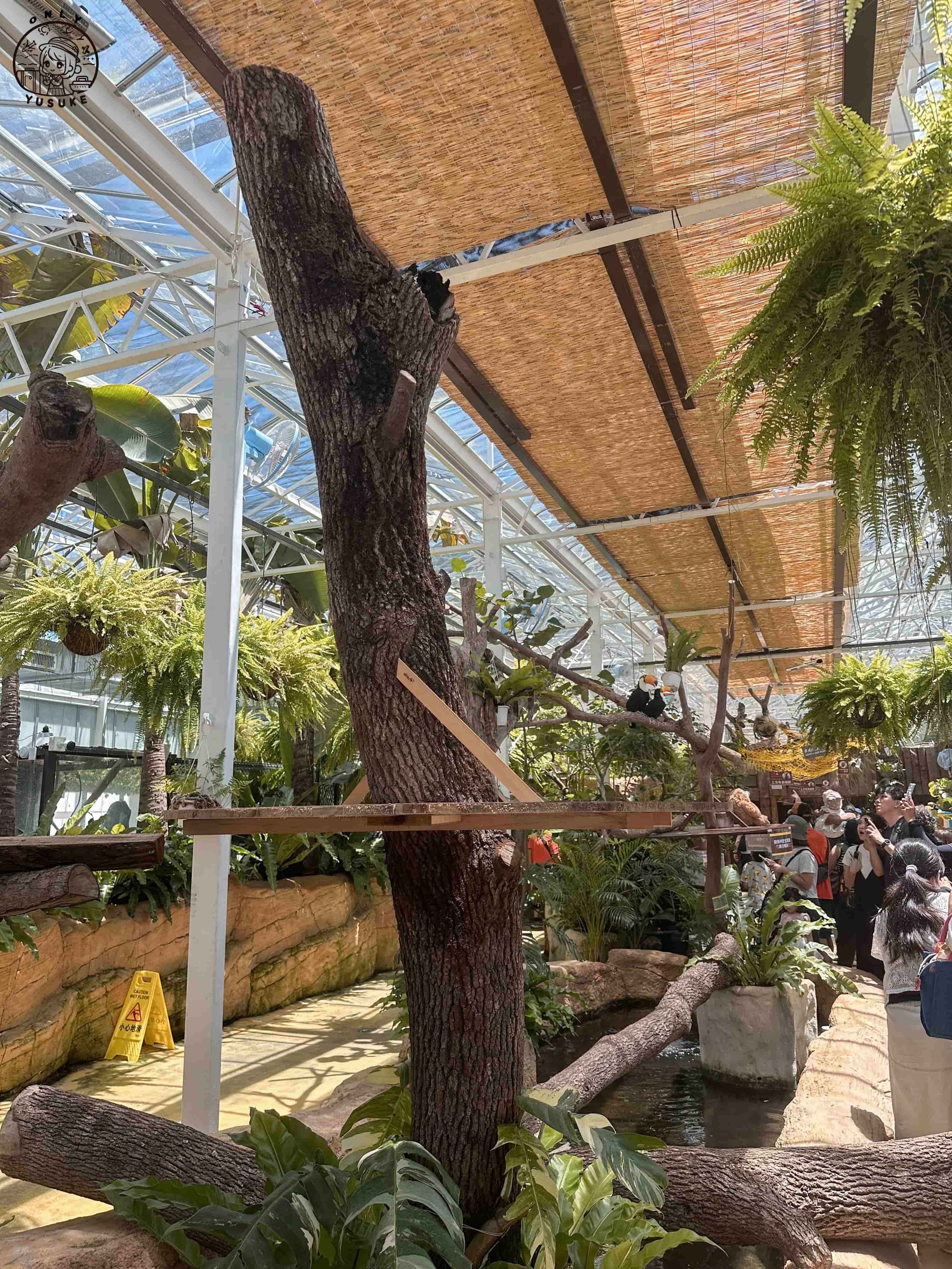 宜蘭動植物王國介紹