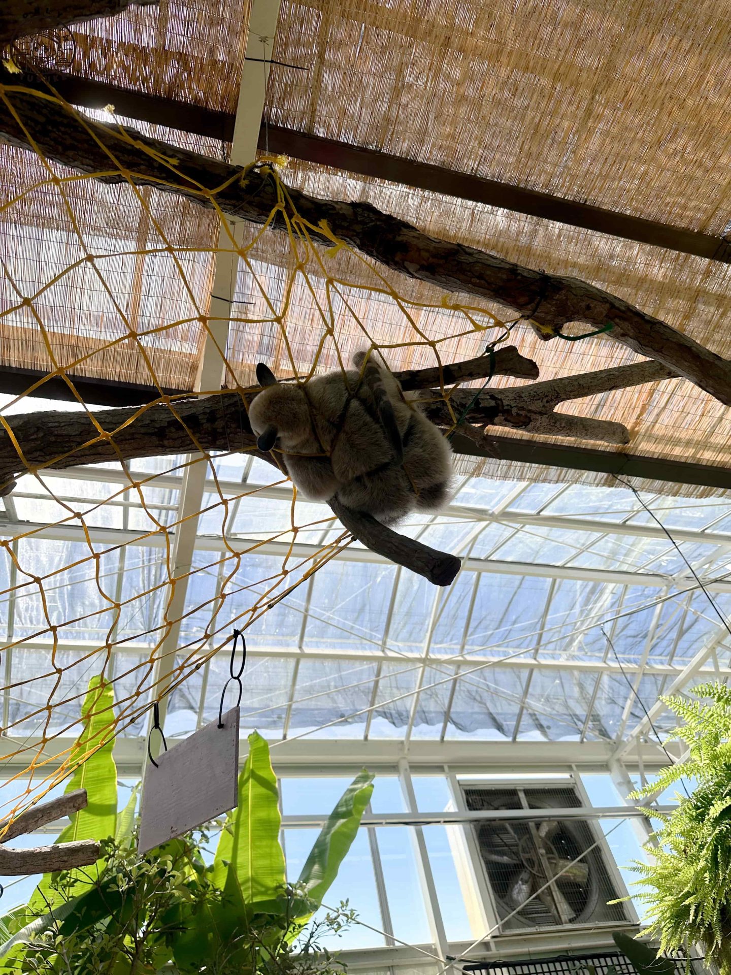 宜蘭動植物王國介紹